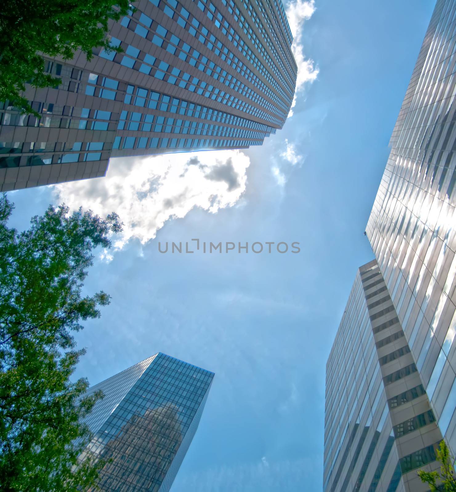 Uptown Charlotte, North Carolina Cityscape by digidreamgrafix