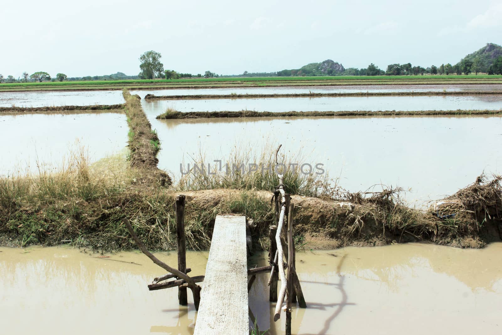 Farmers to move to farming in the area