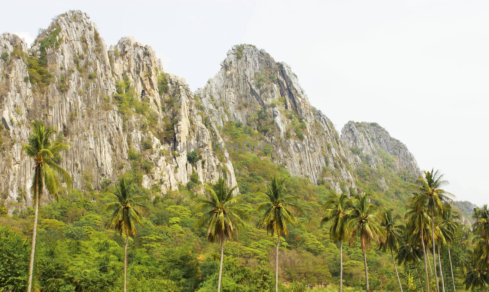 Mountains caused by the deposition of the rocks and the presence of bats.