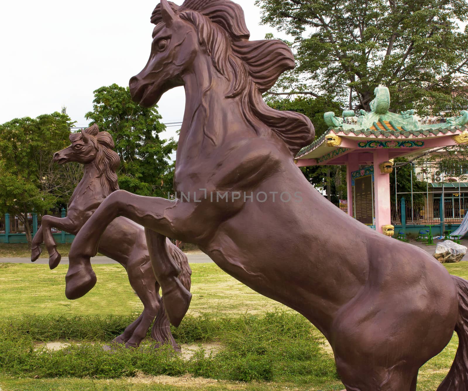 bronze statue of horse isolated in the park by sutipp11