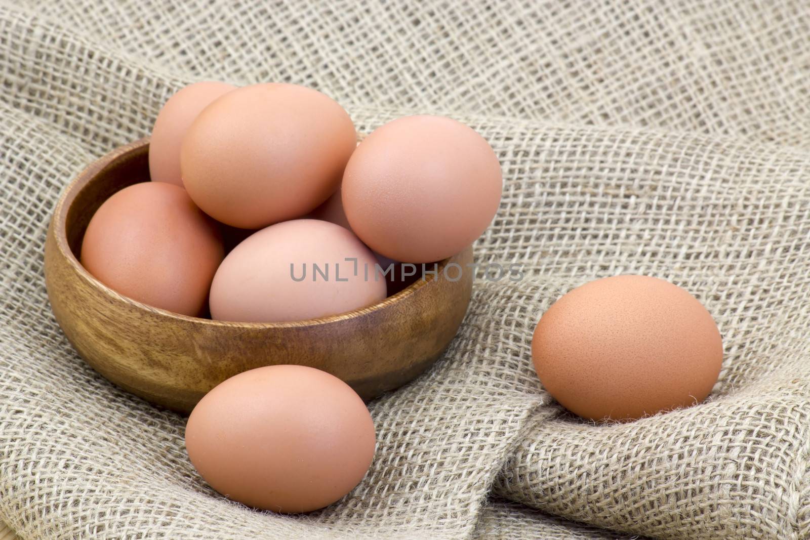 eggs