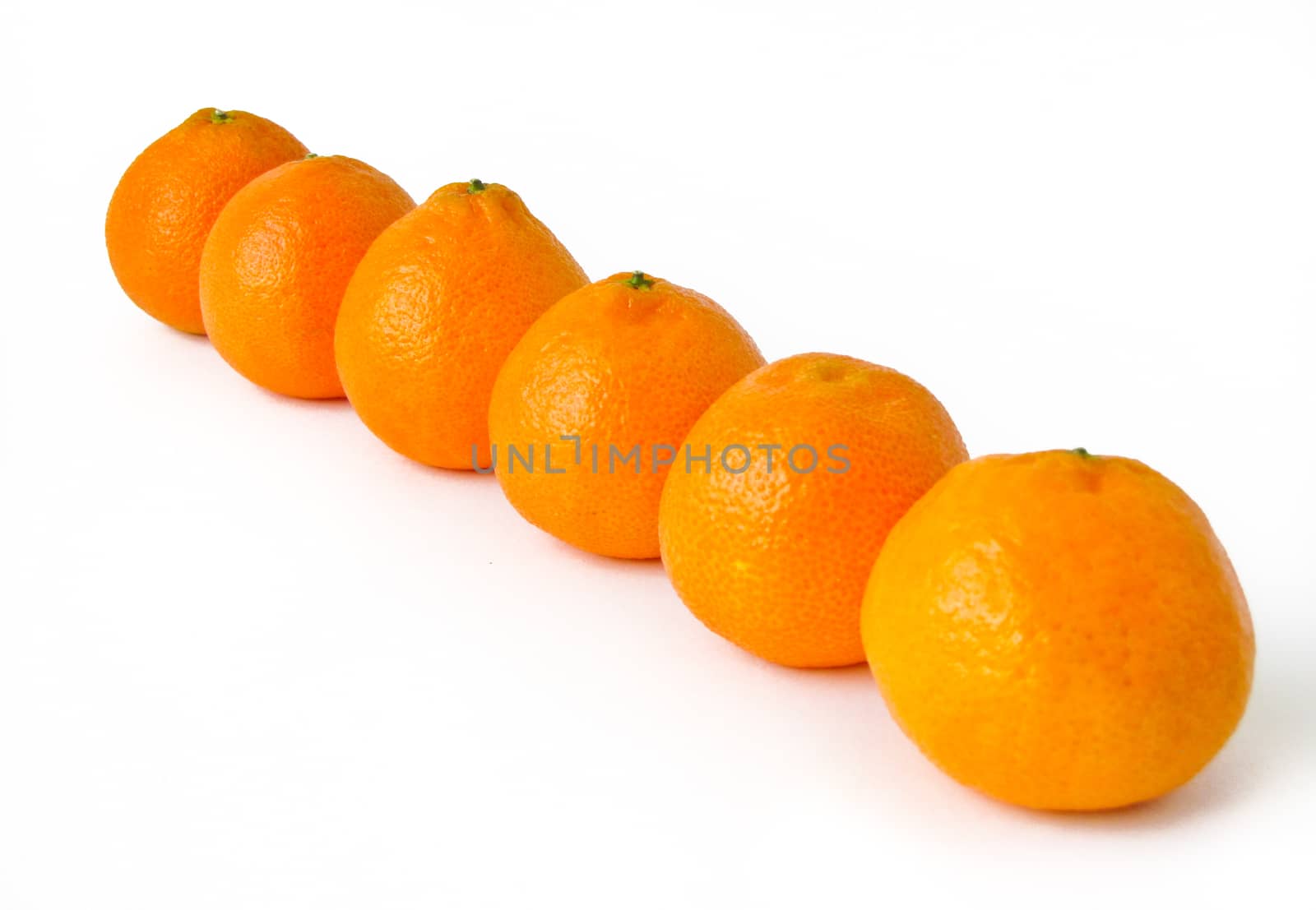 mandarins by rodakm
