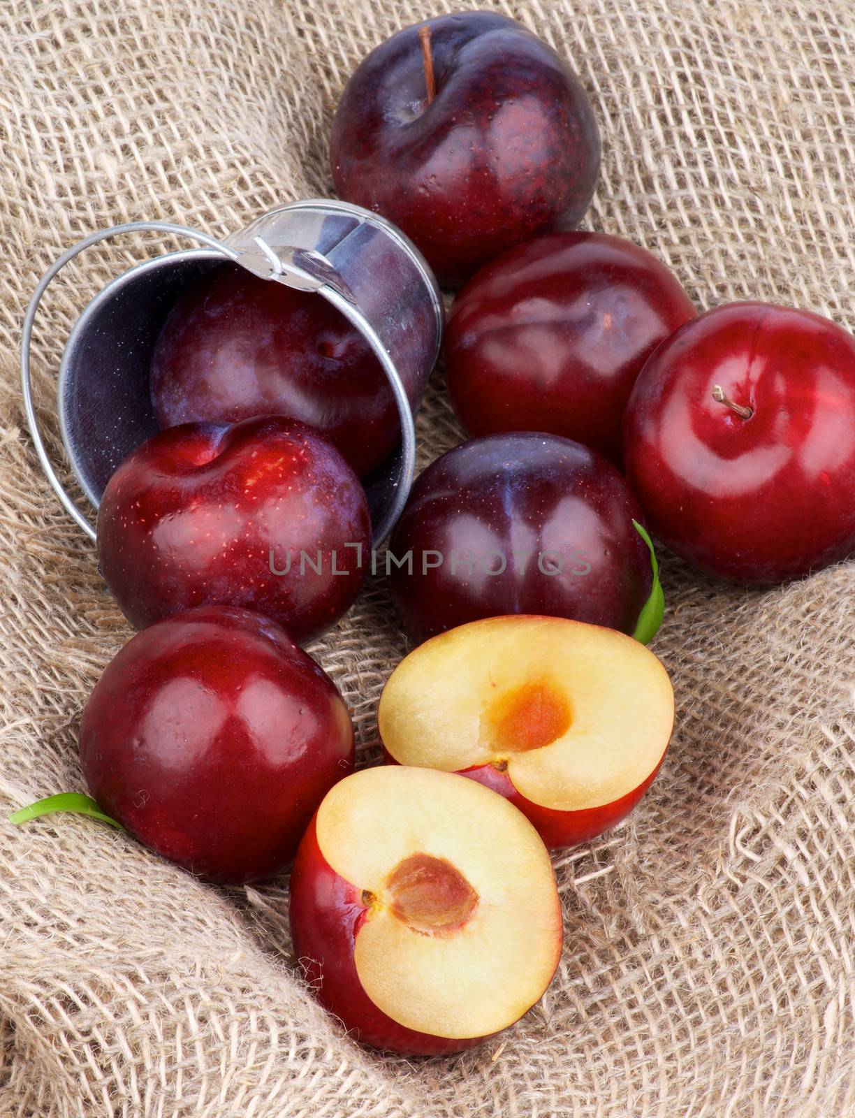 Heap of Ripe Sweet Red Plums Full Body and Halves Scattered from Tin Bucket on Burlap background