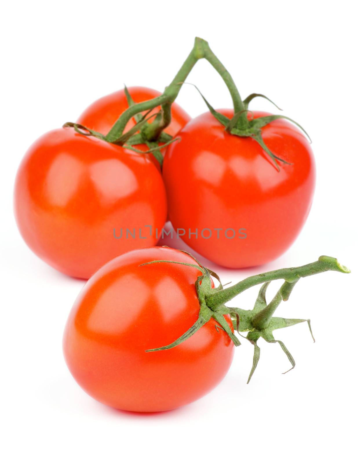 Fresh Ripe Tomatoes with Stems and Twigs isolated on white background