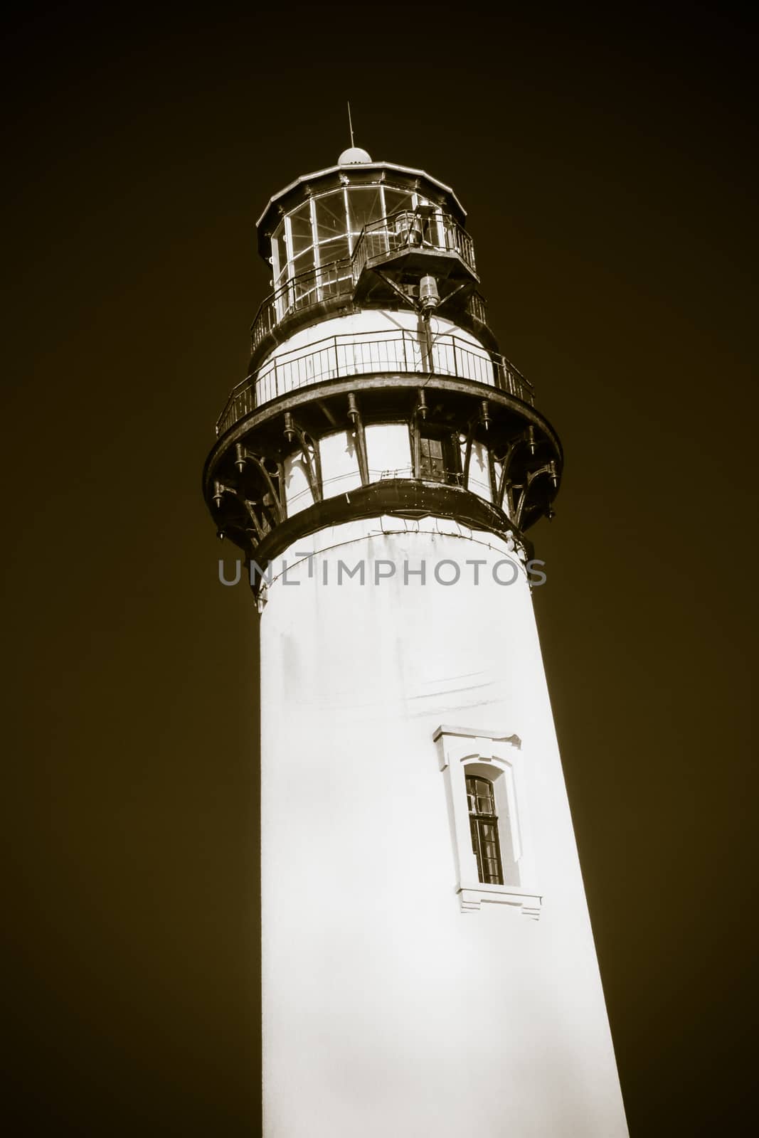 Pigeon Point Lighthouse Black and White