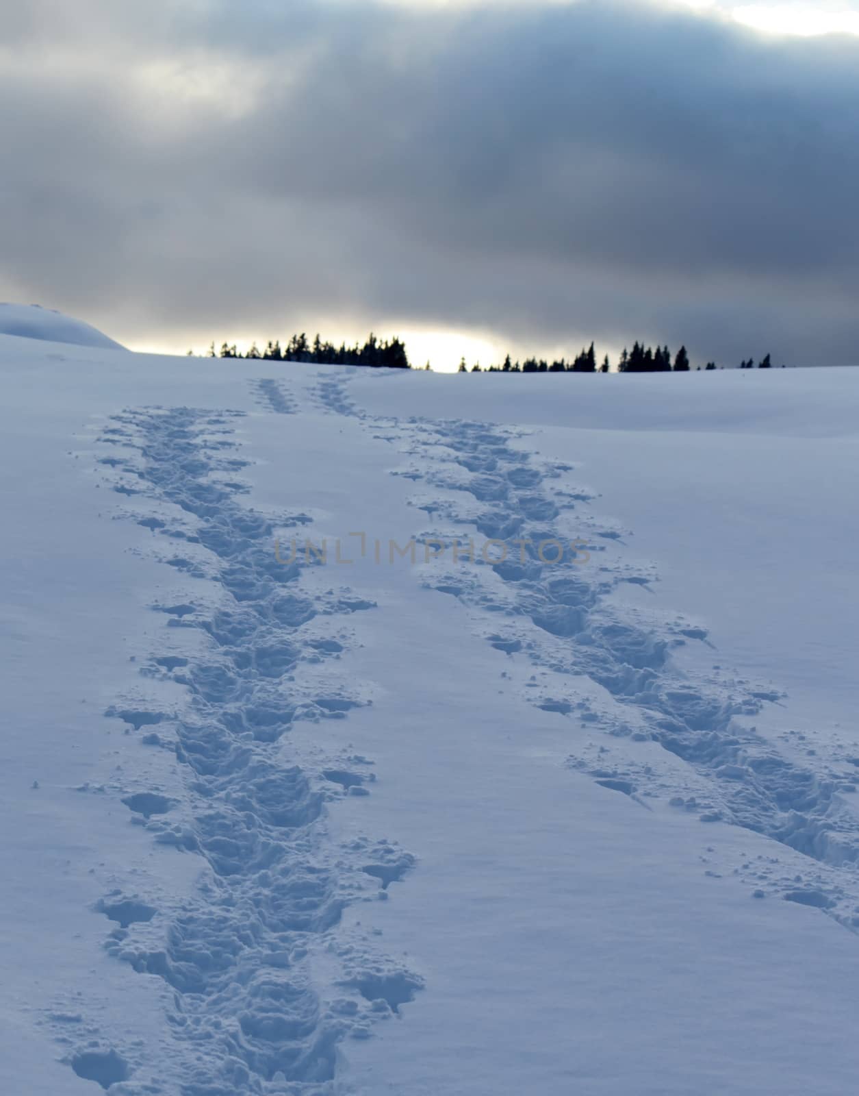 Footsteps in the snow by Elenaphotos21