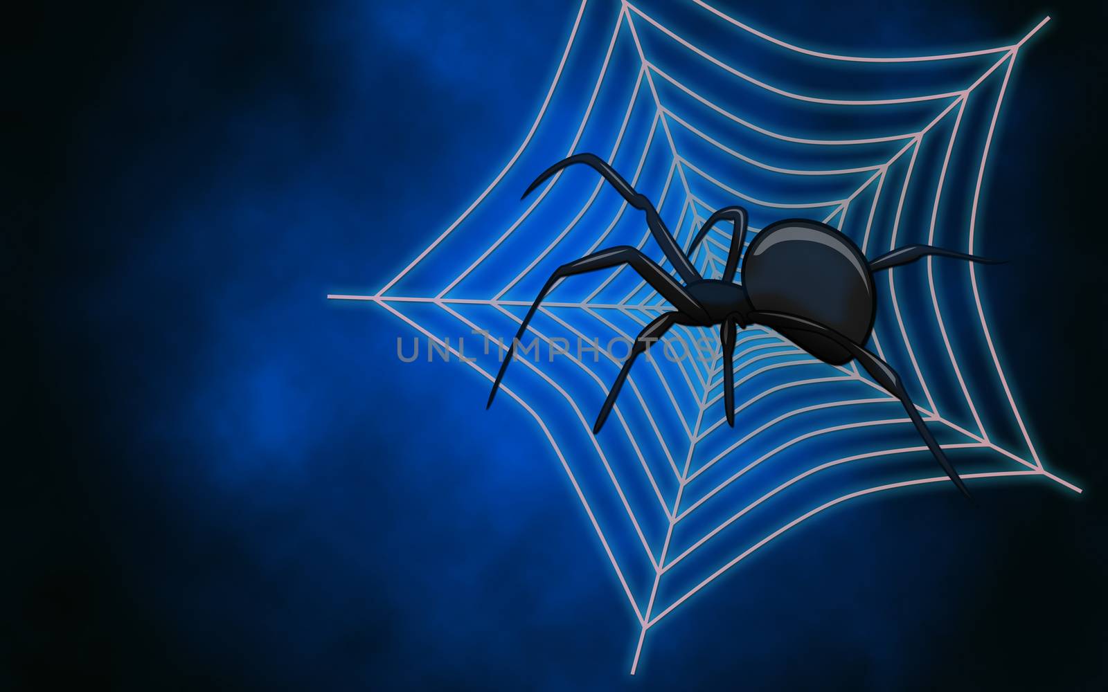 Web with spider by sateda