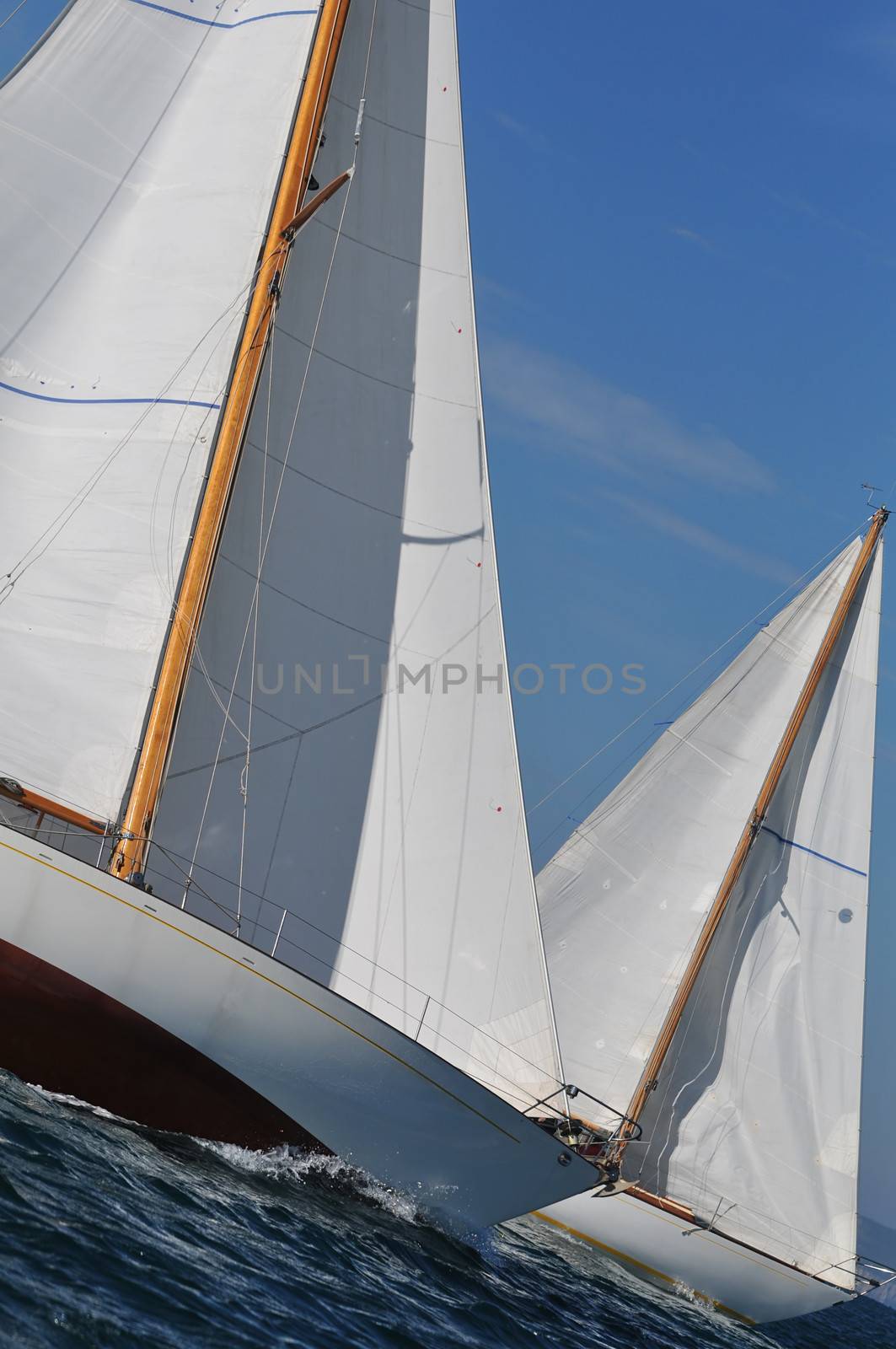 Saiiling race by lebanmax