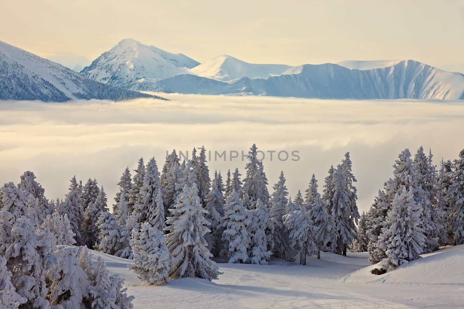 High mountain range in winter