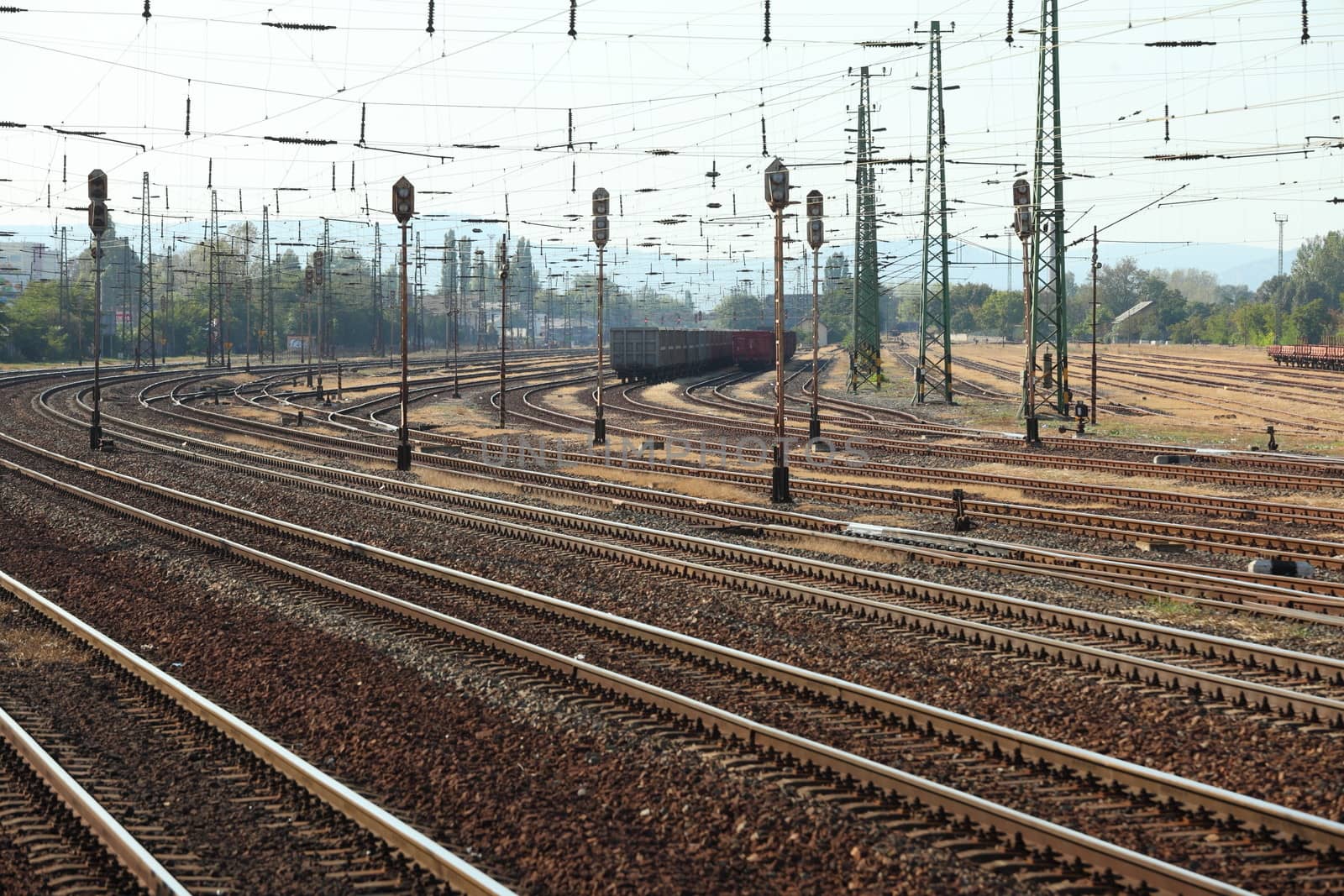 Many railway tracks with freight wagons