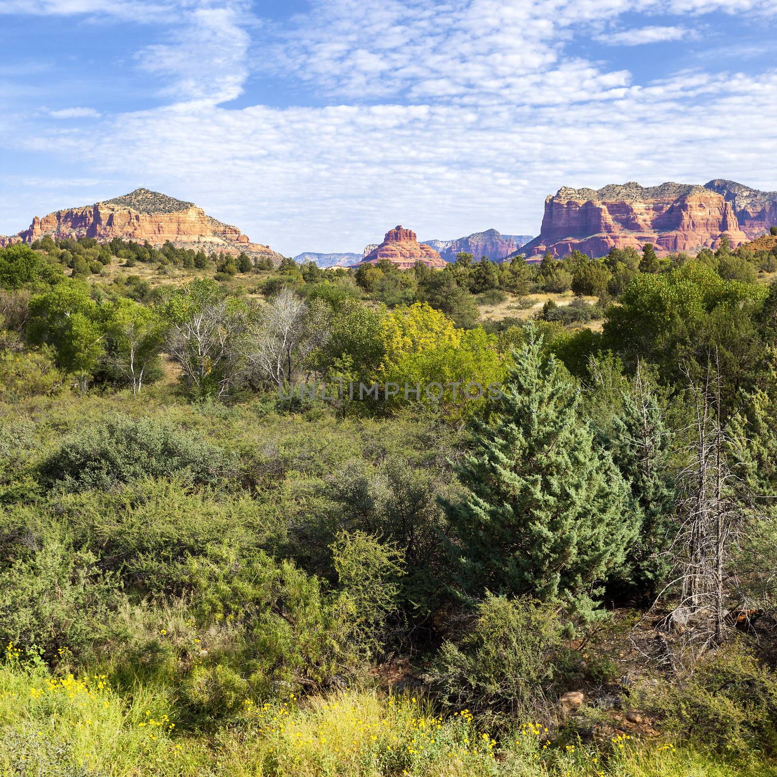 view of red rock landscape, Sedona, Arizona 