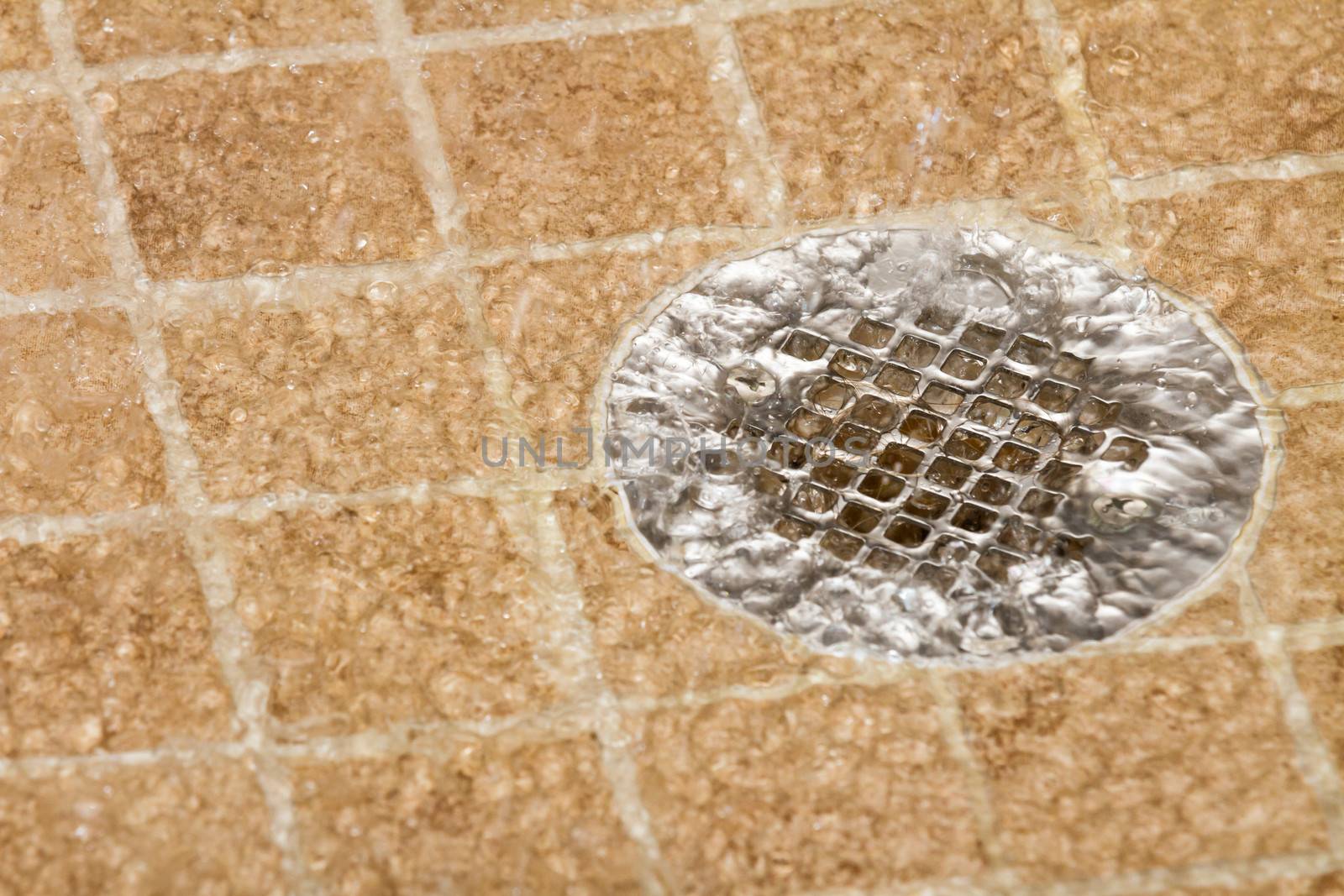 Shower draining water from getting clean