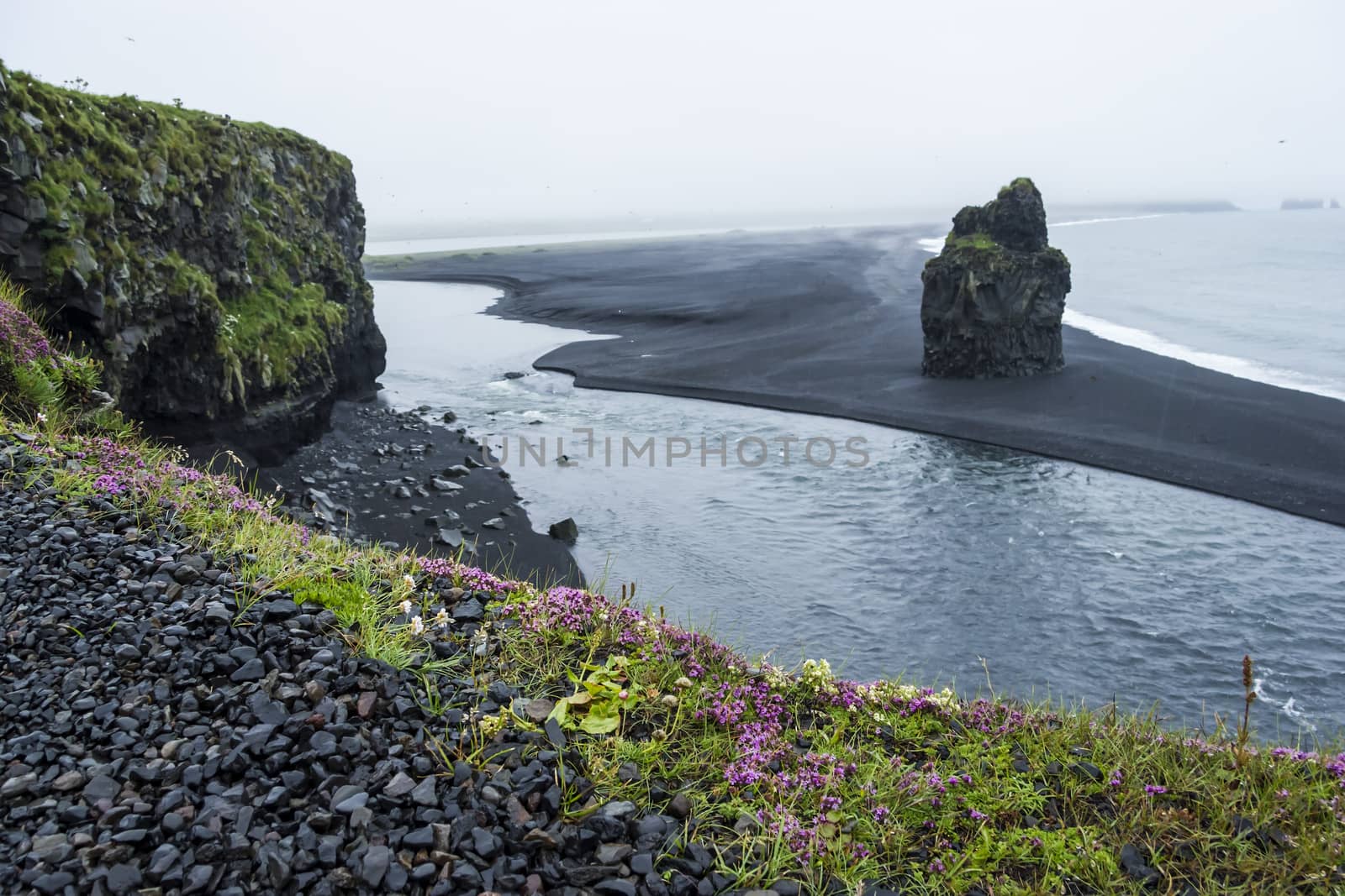 Black volcanic sand on the south coast of Iceland by Tetyana