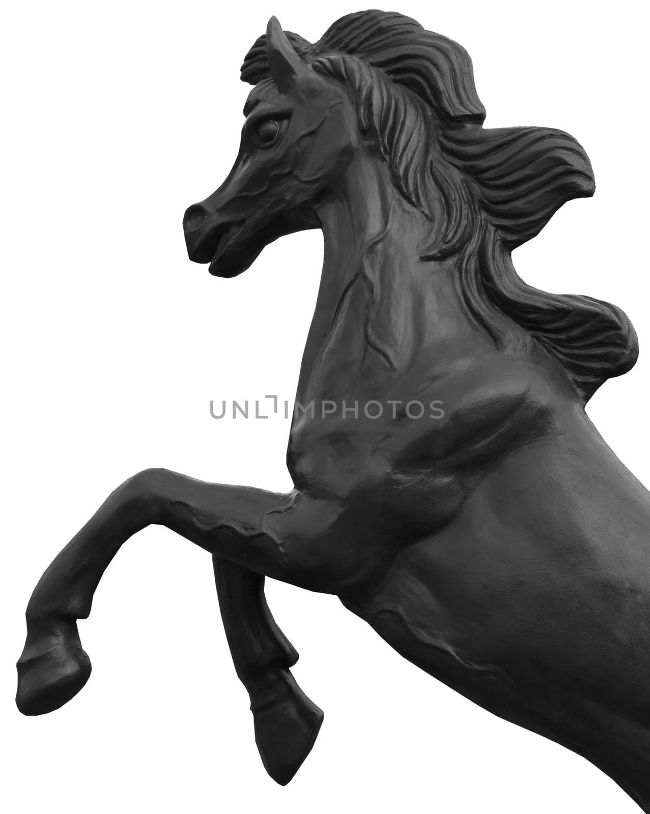 bronze statue of horse isolated on white by sutipp11