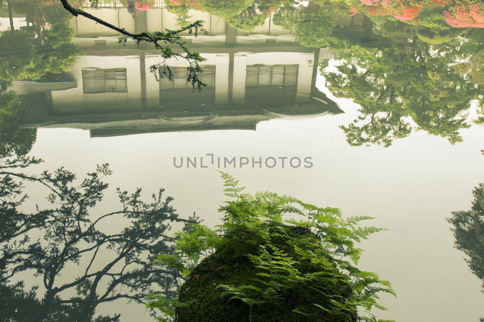 scenic landscape with reflection in Japanese Zen pond