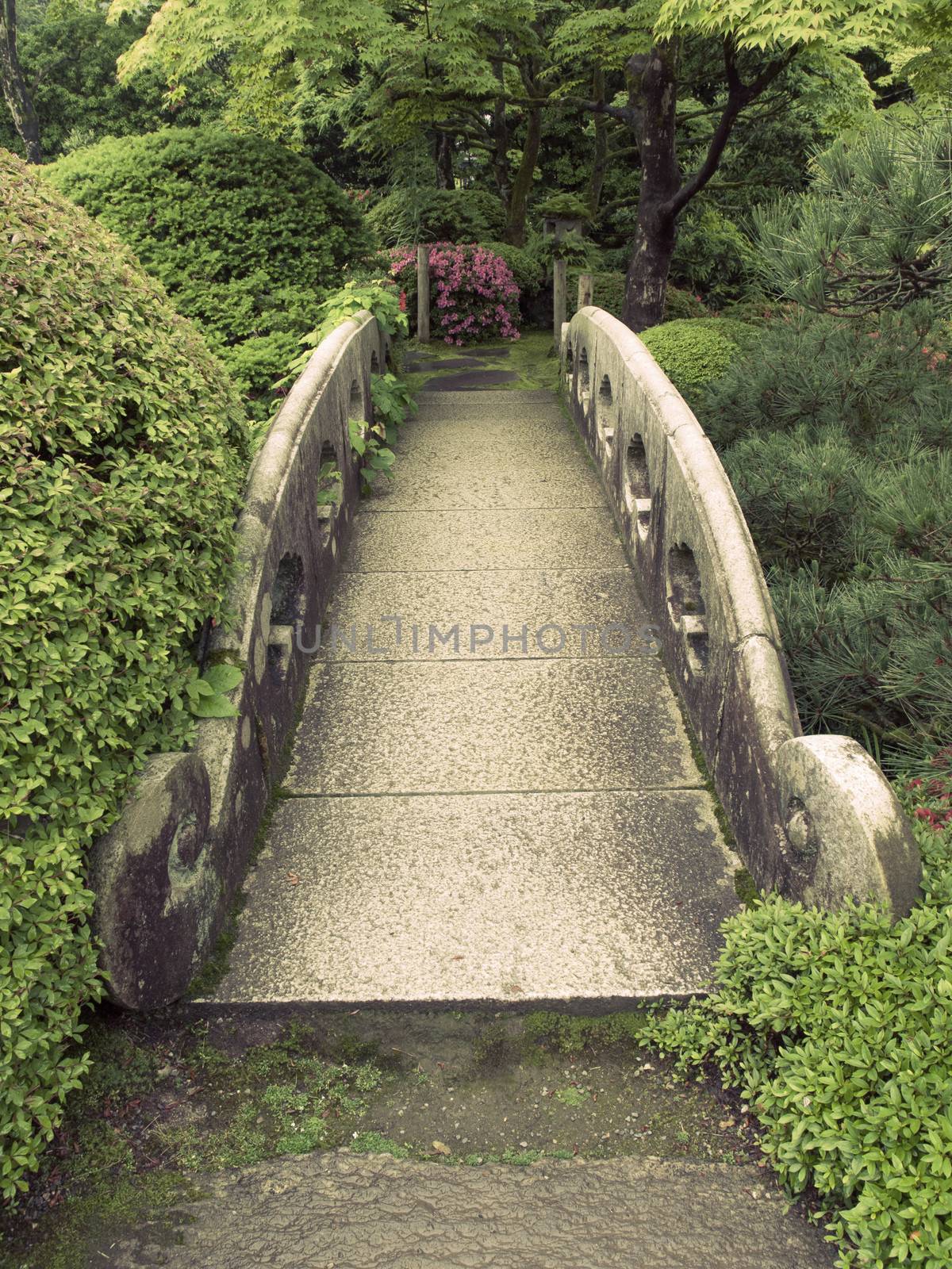 sepia toned landscape with old stone bridge in green summer park