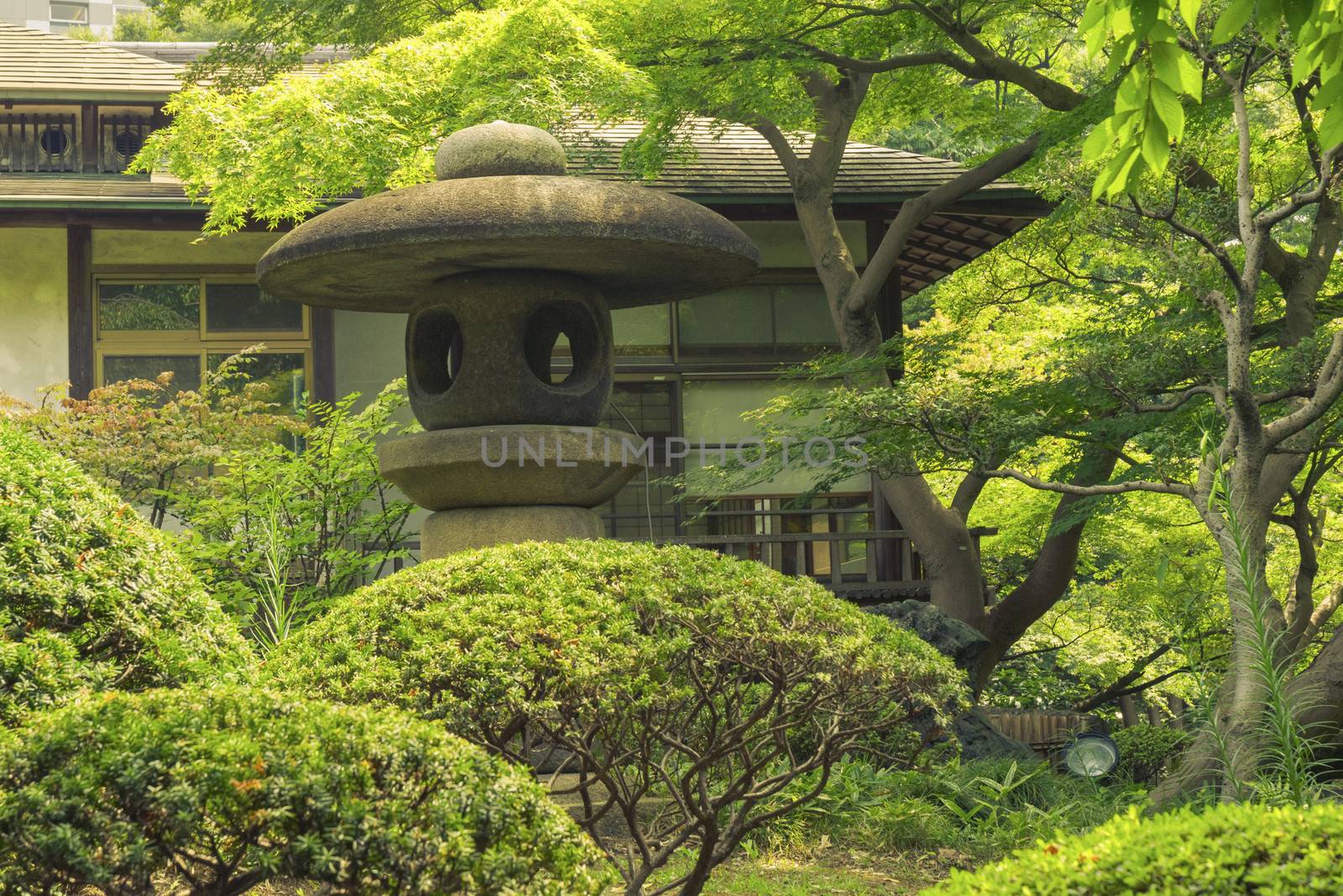 big stone lantern in Japanese zen garden by summer time
