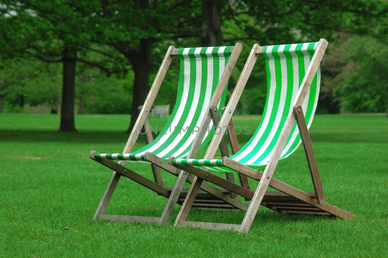 Two white and green chairs in the park