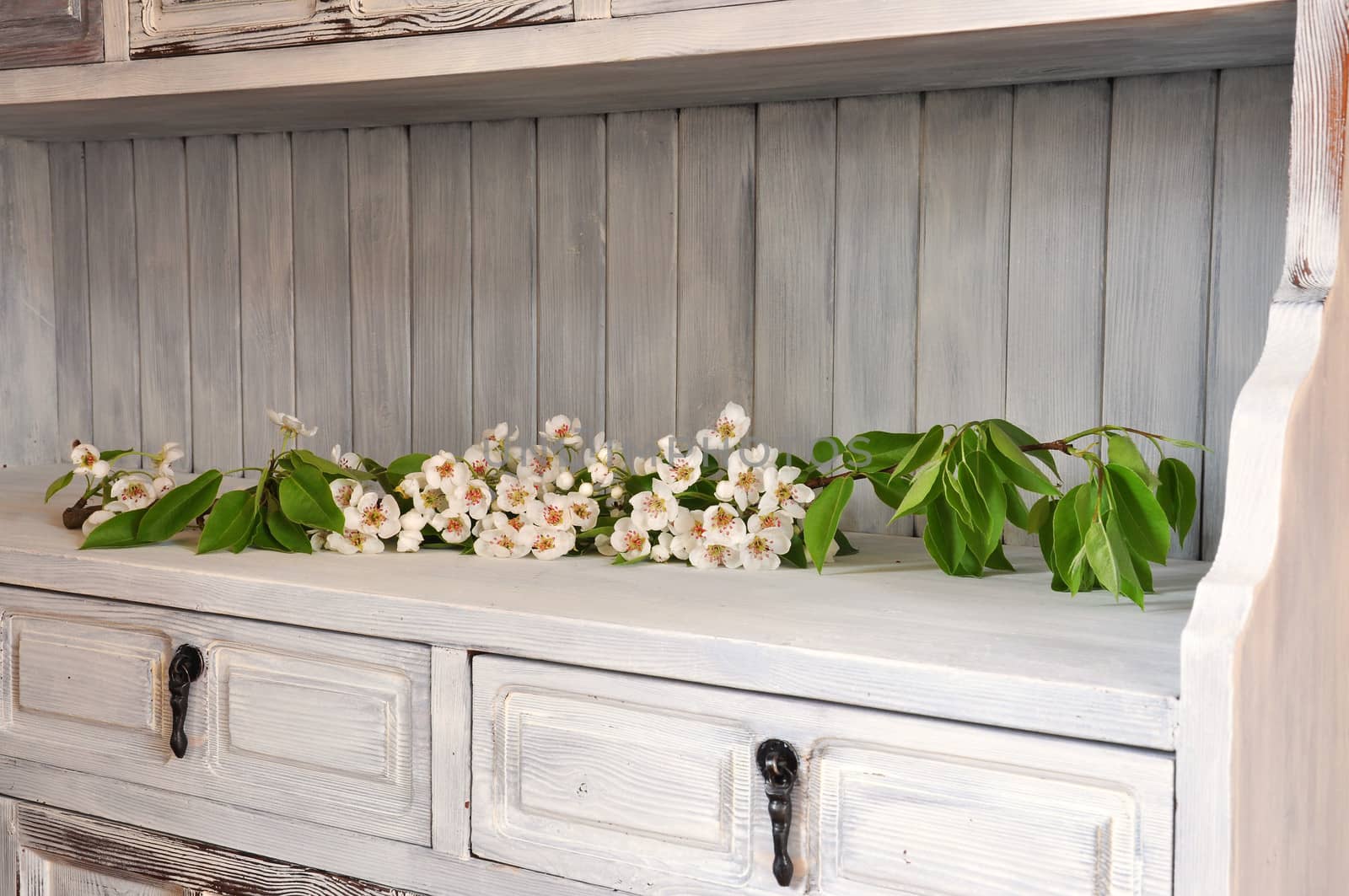 Flowering pear branch in an old shabby chic cabinet.