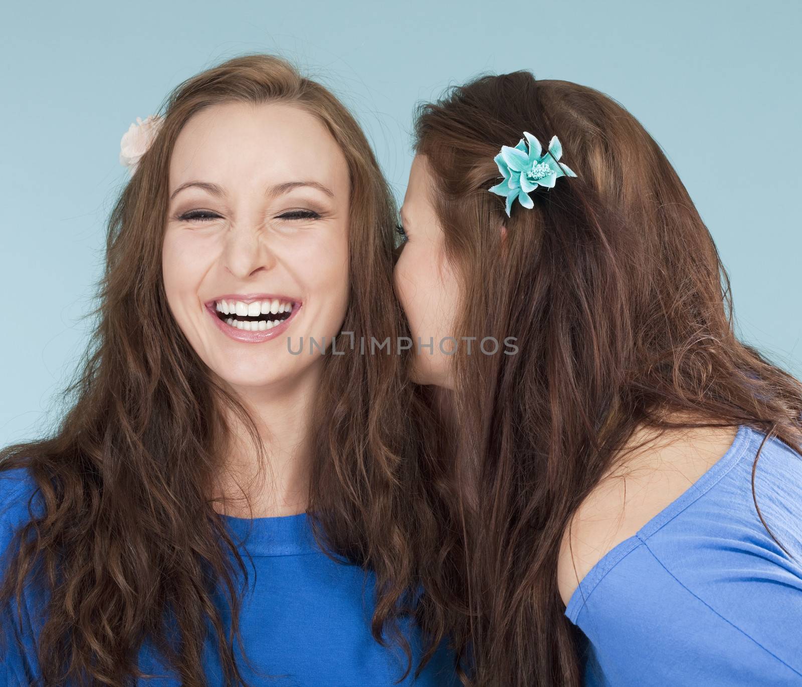two young female friends whispering gossip - isolated on blue