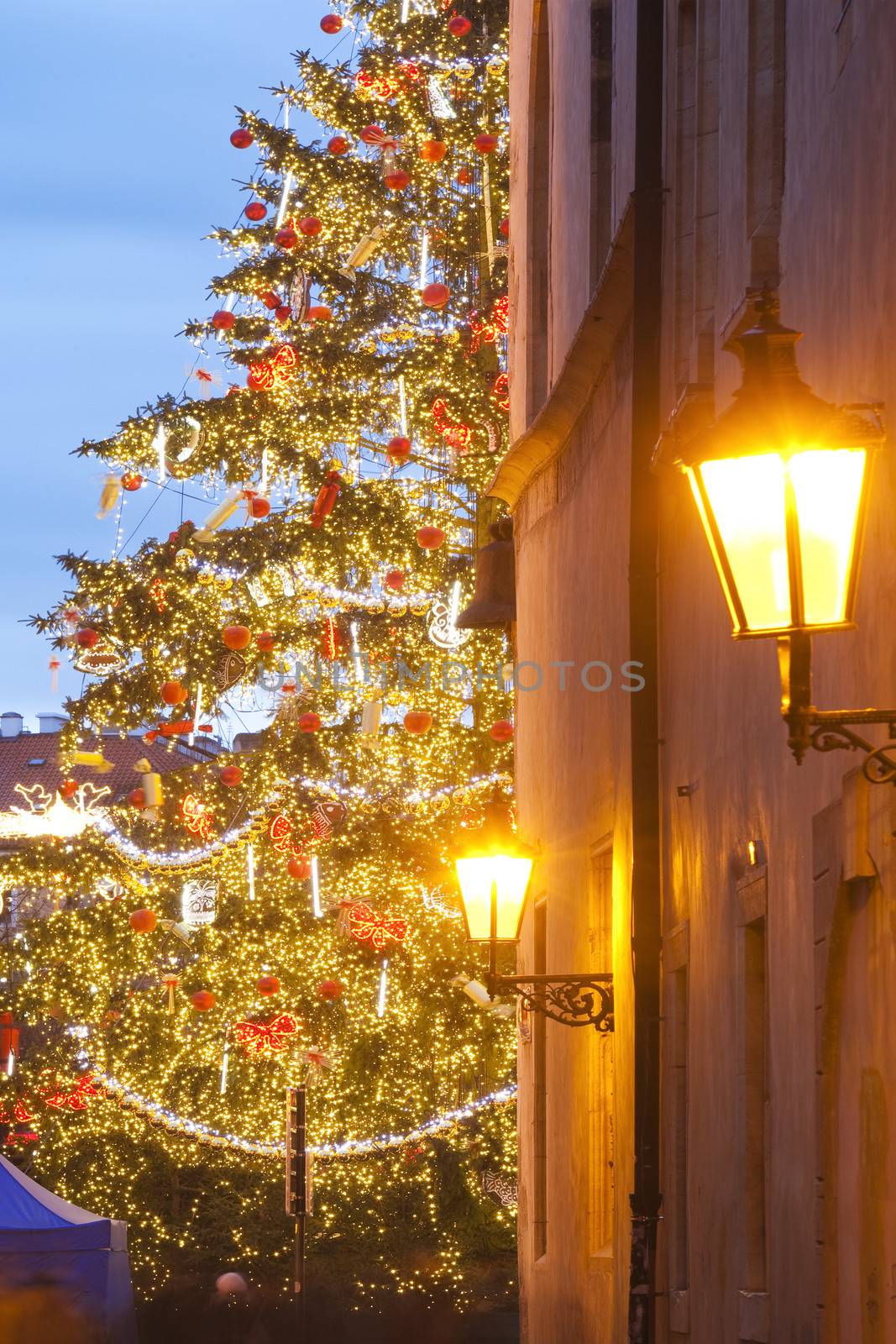 prague - view of christmas tree at the old town square from medieval alley