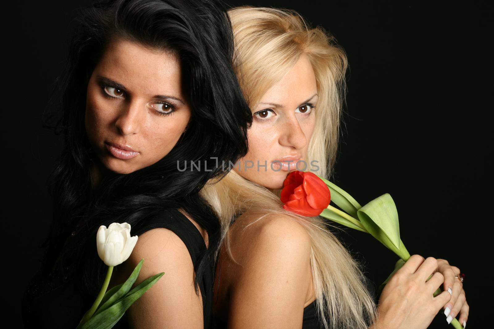 blond and brunette red white flowers on black