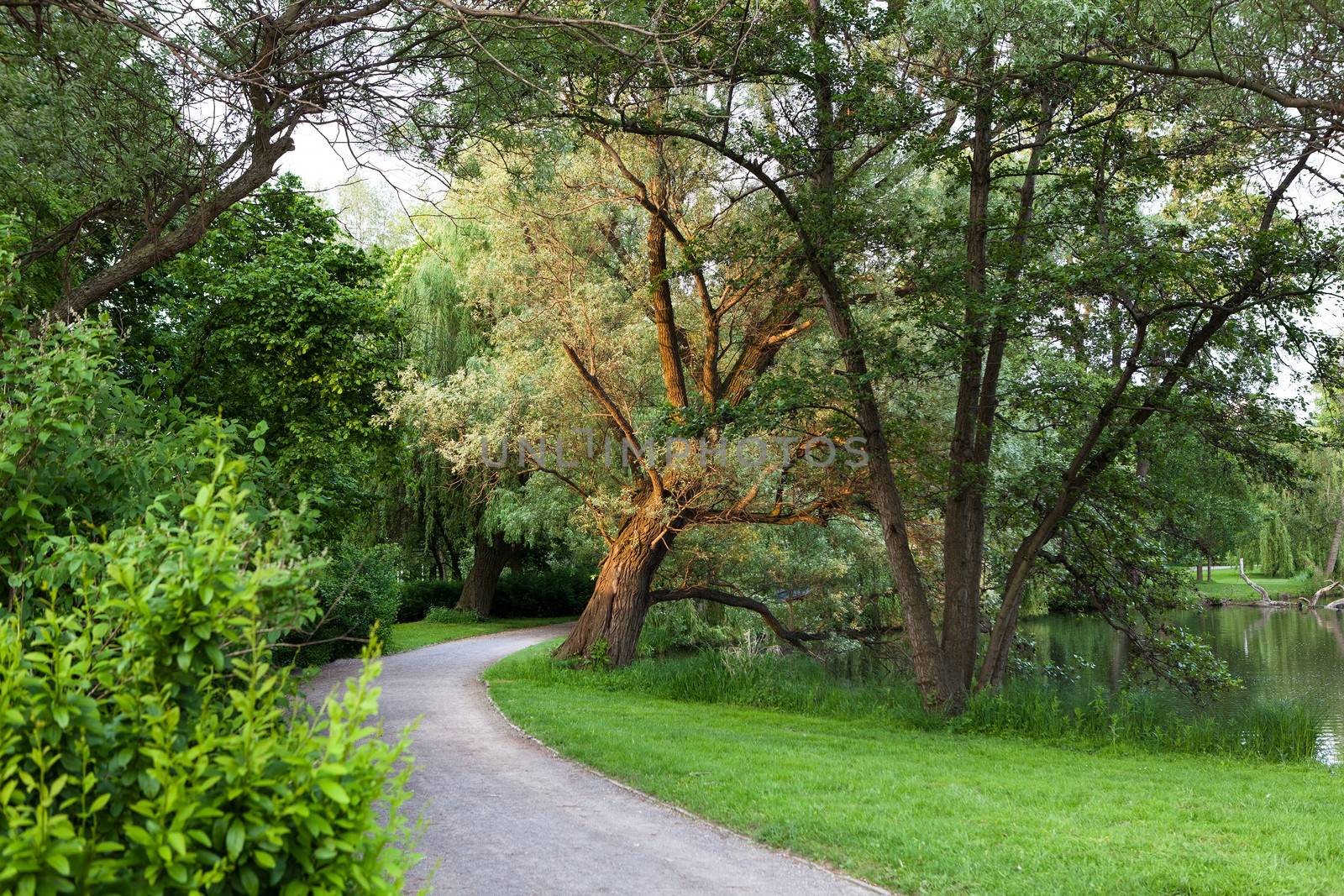 Beautiful road in the park by AndreyPopov