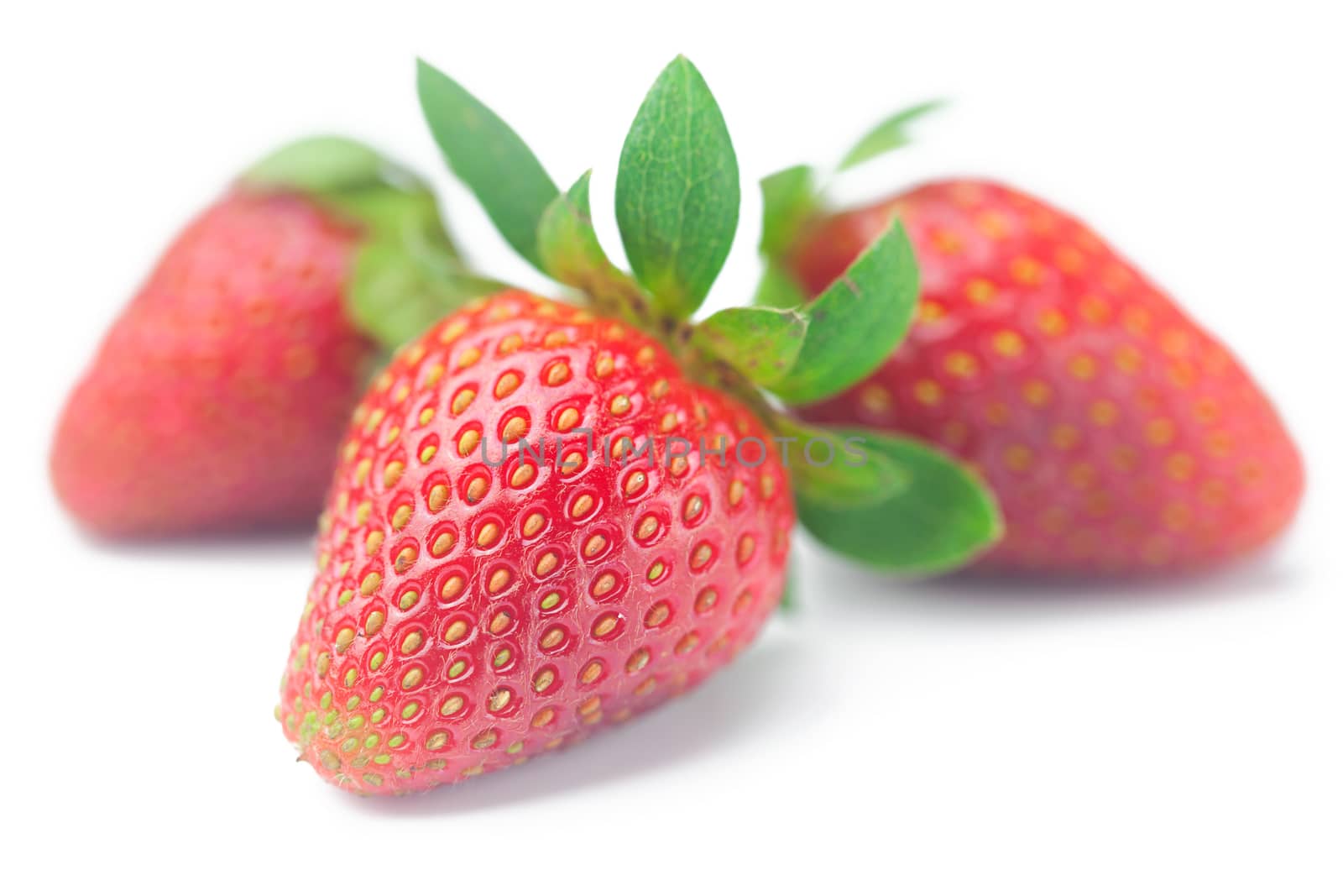Beautiful ripe strawberry isolated on white by jannyjus