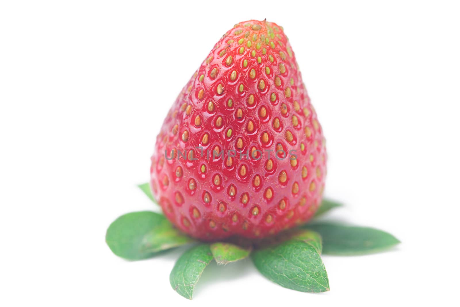 Beautiful ripe strawberry isolated on white by jannyjus