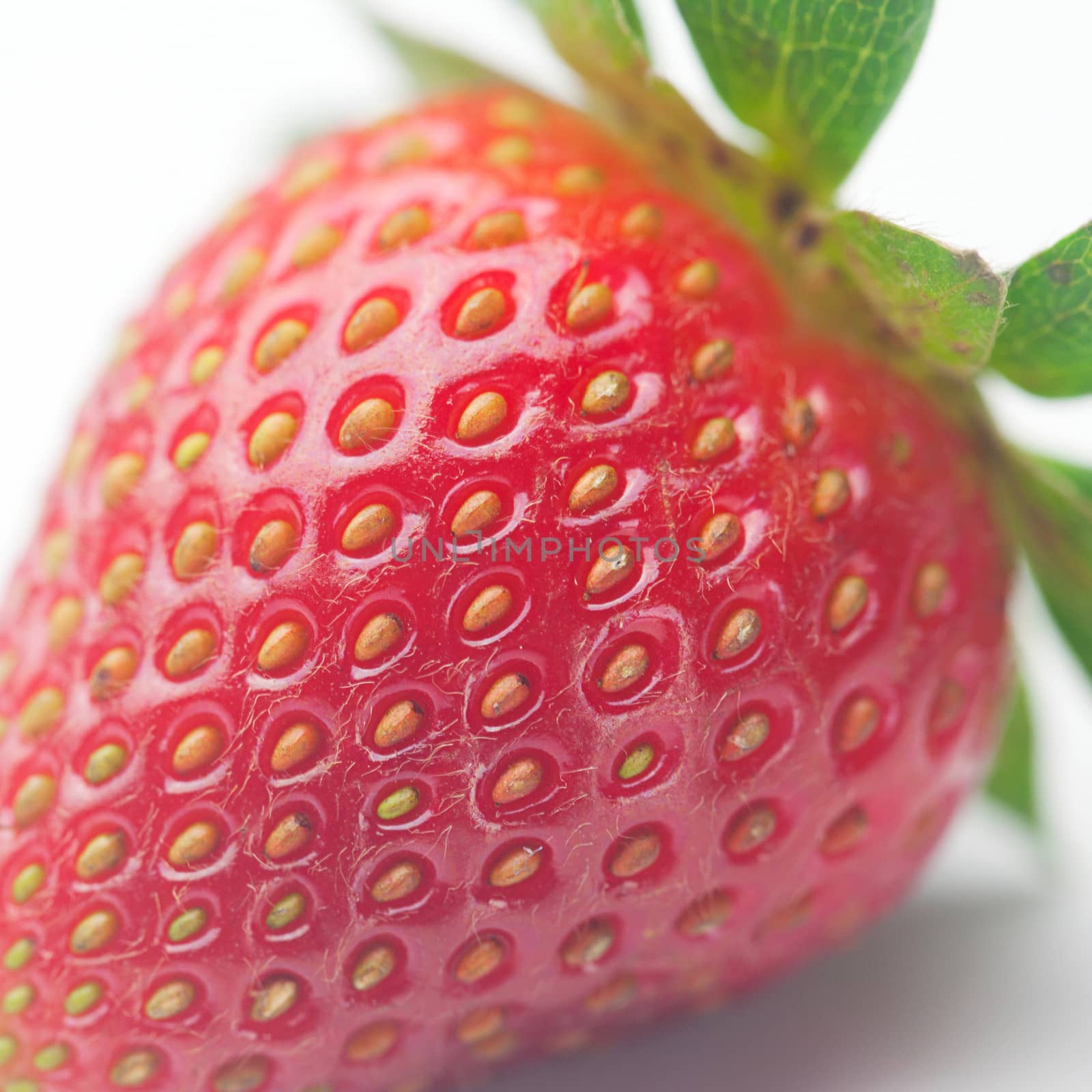 Beautiful ripe strawberry isolated on white by jannyjus