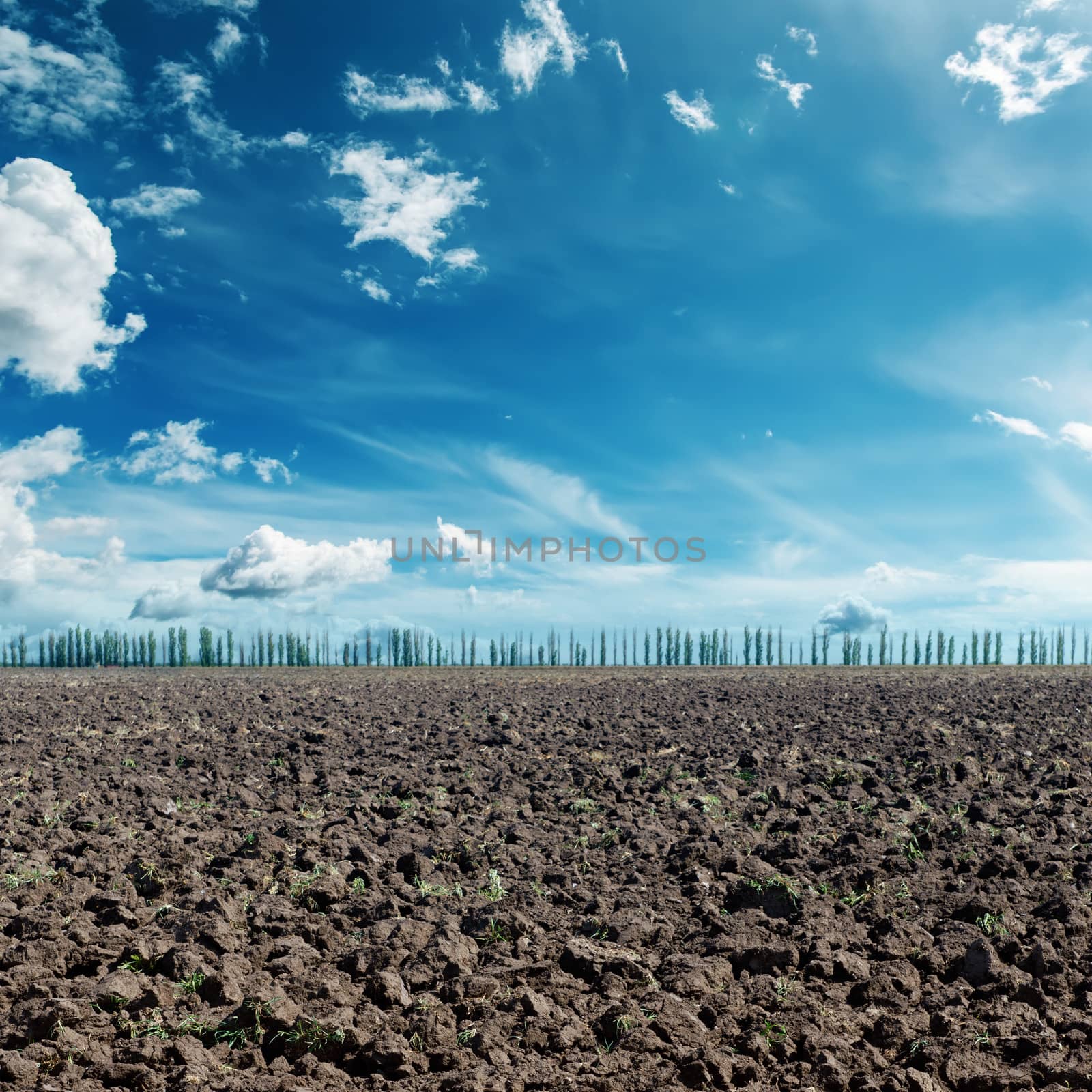 deep blue sky with clouds and black agriculture field