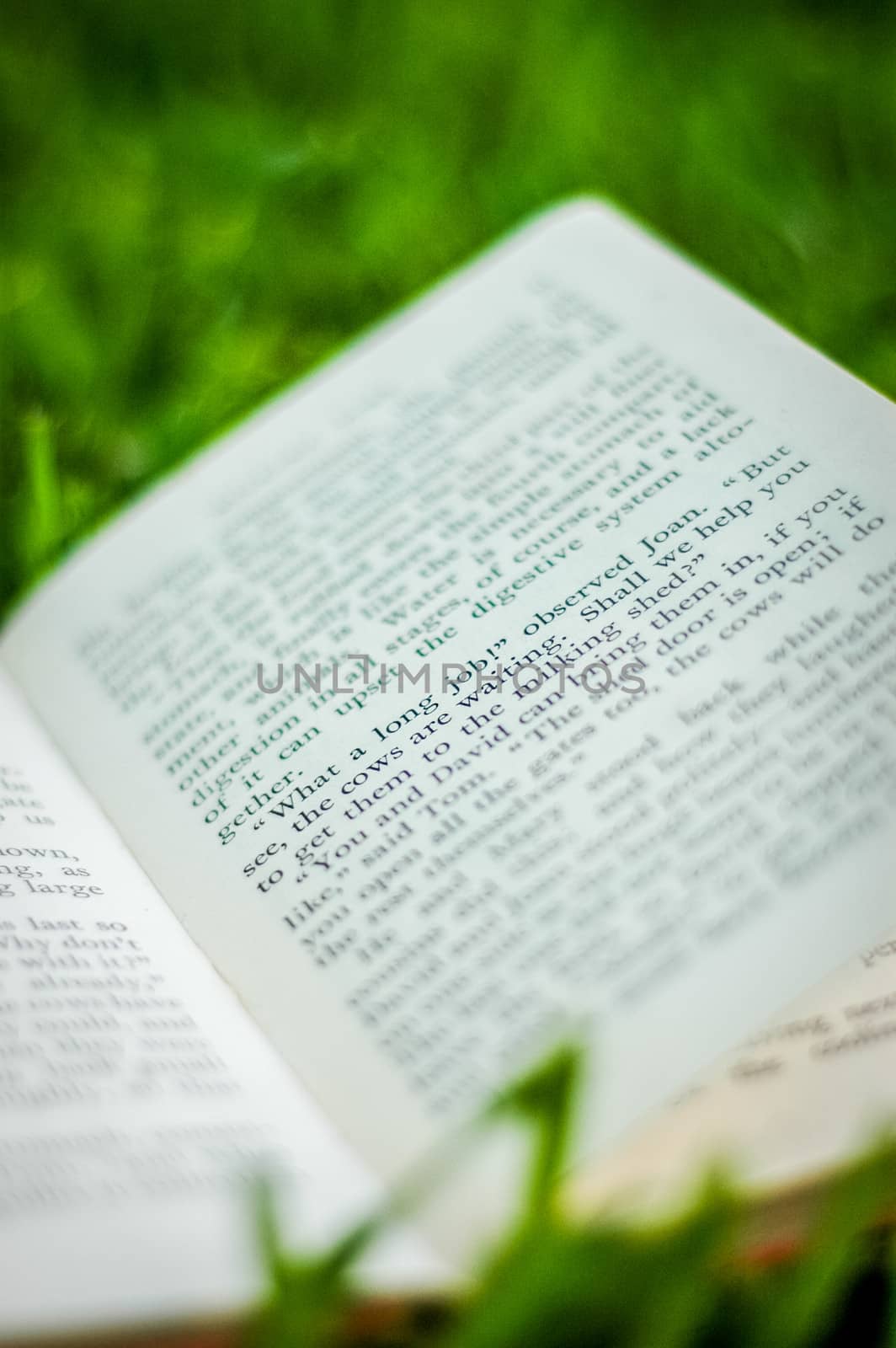 Recreation Image Of A Book On The Grass (with shallow focus)