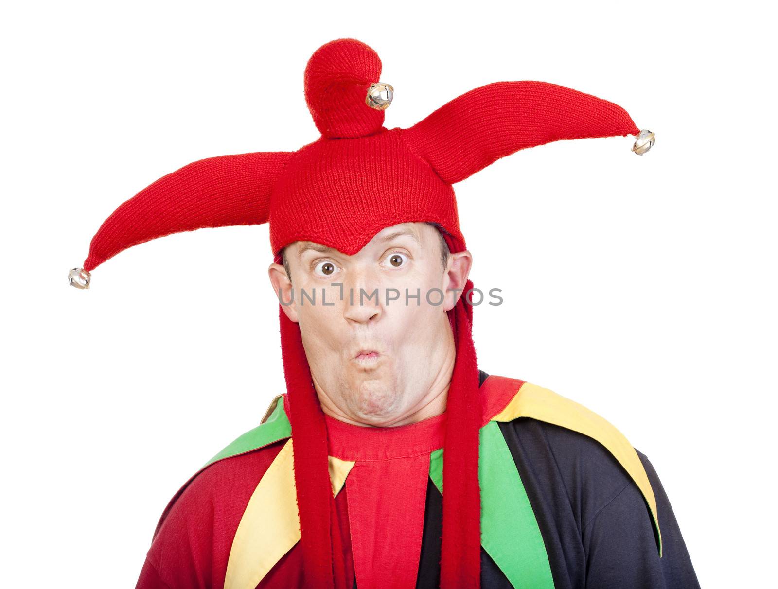 portrait of jester - entertaining figure in typical costume