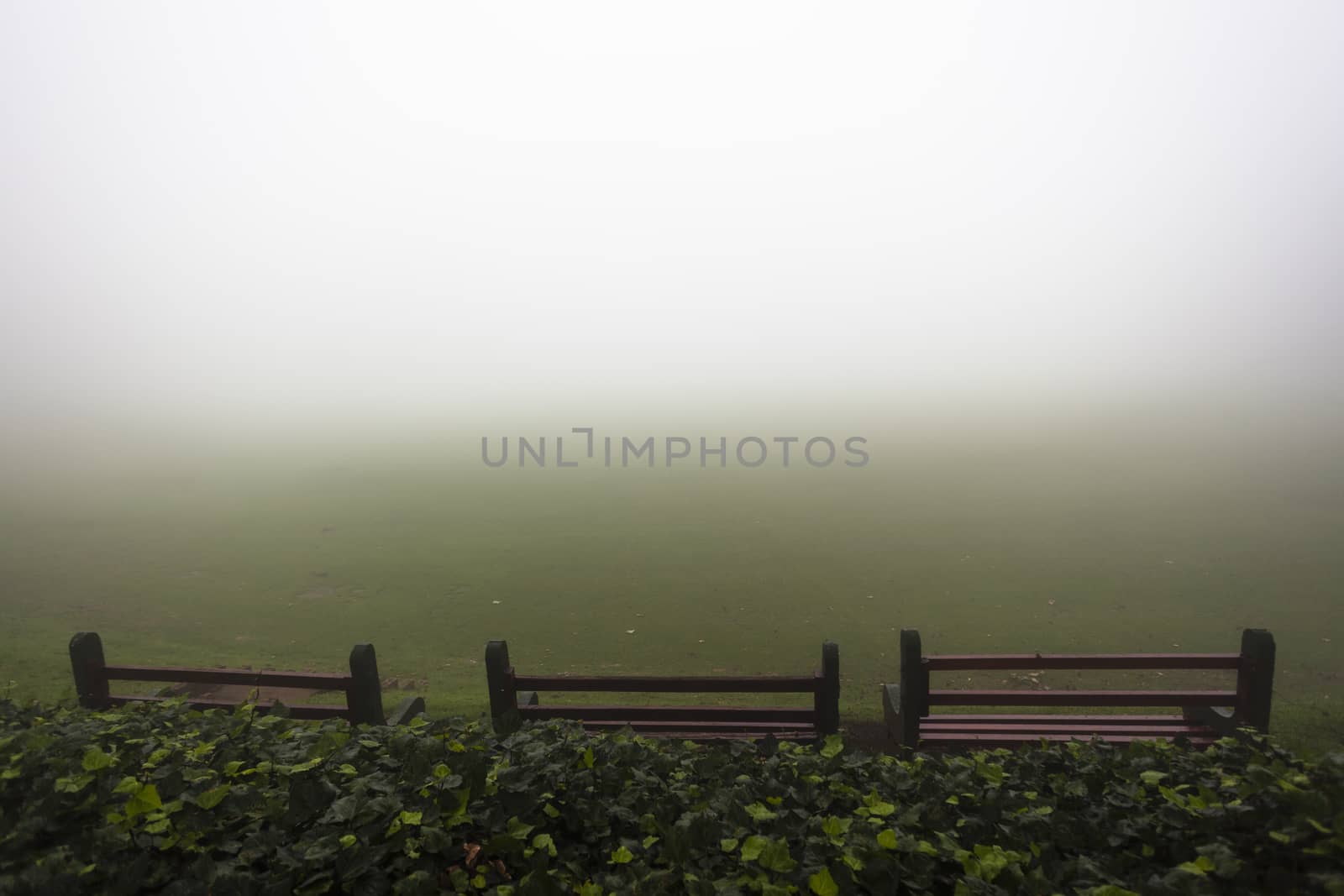 Three benches on green sports field looking into the cloud mist