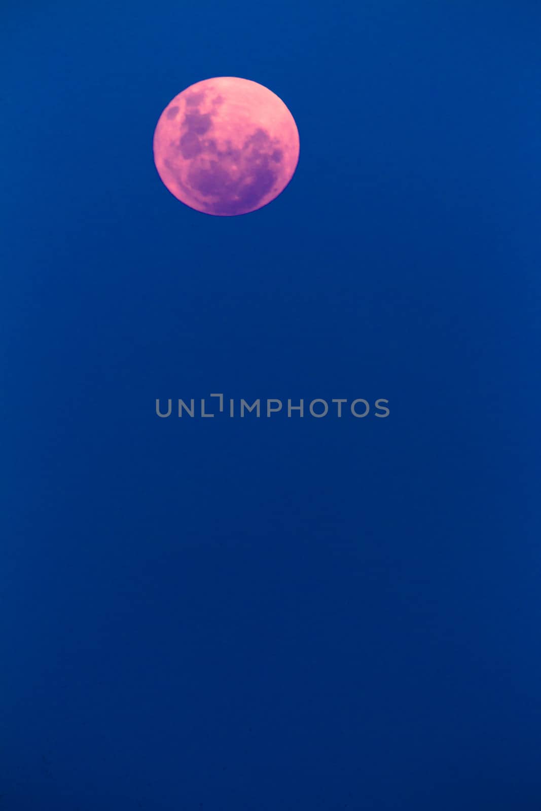 Full moon rising at twilight in pink red light reflections in detail.