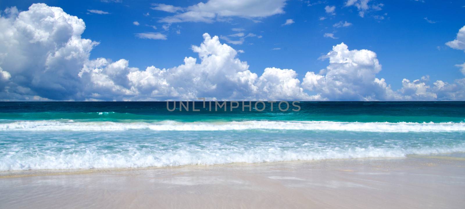 beautiful beach and tropical sea