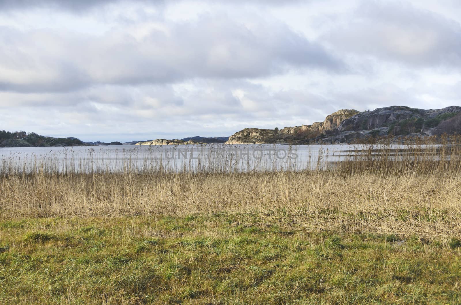 a fine autumn morning on the shore of Stigfjorden in Bohuslan