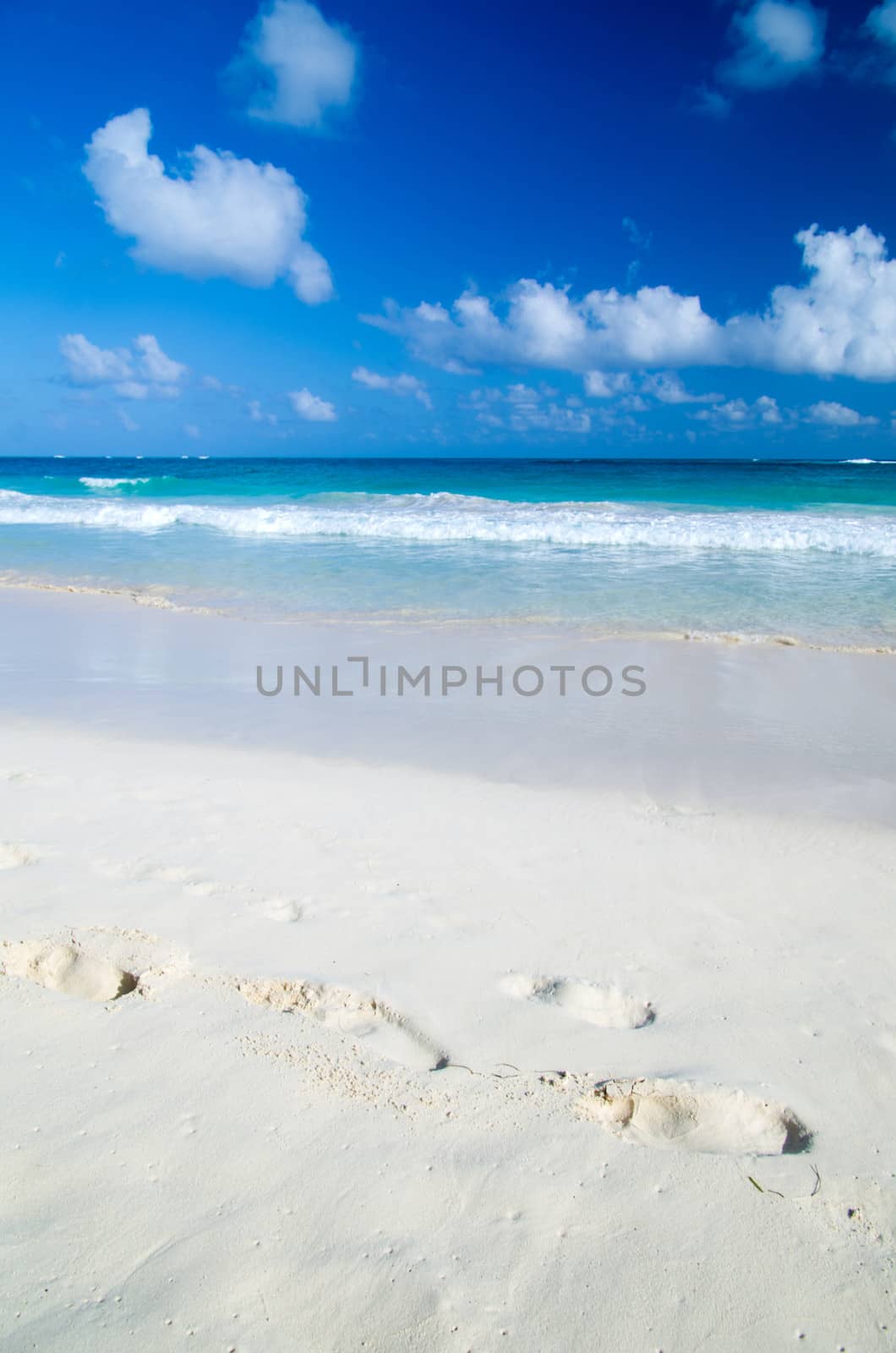 Caribbean Beach   by Pakhnyushchyy