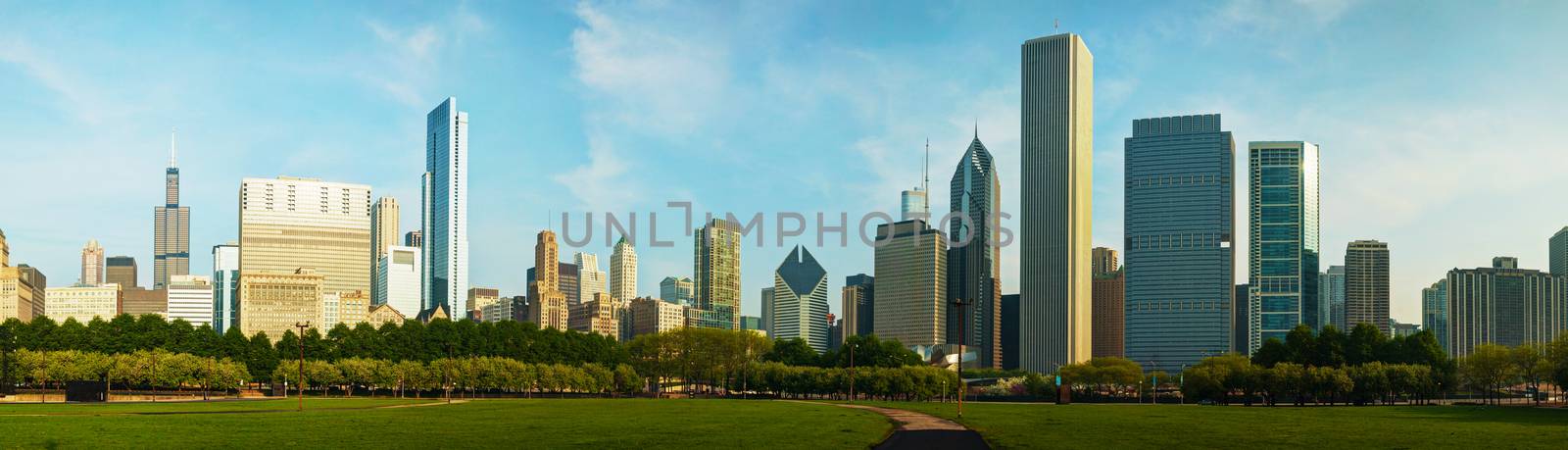 Downtown Chicago as seen from Grant park in the morning