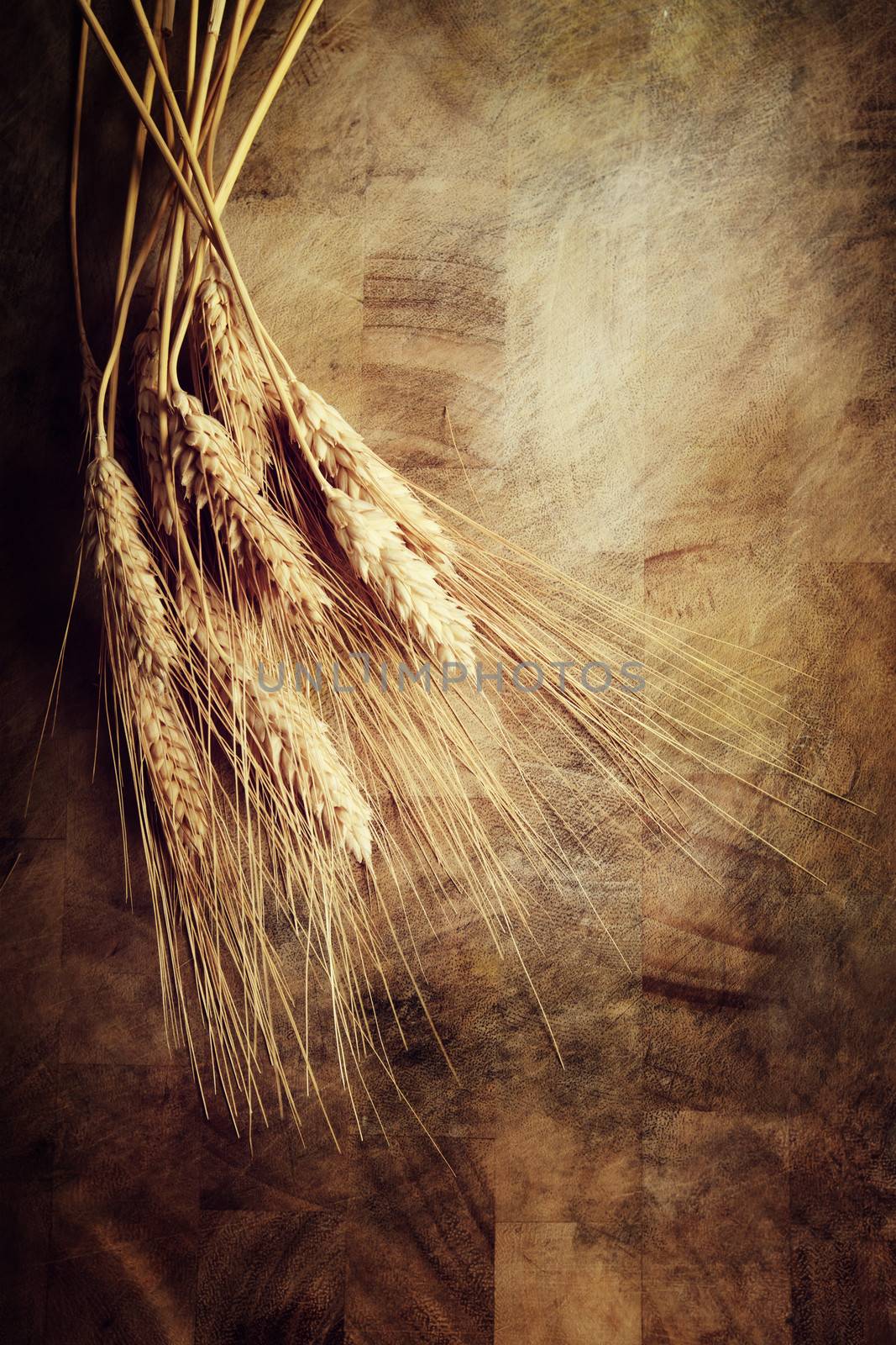 Ears of wheat on rustic wooden table