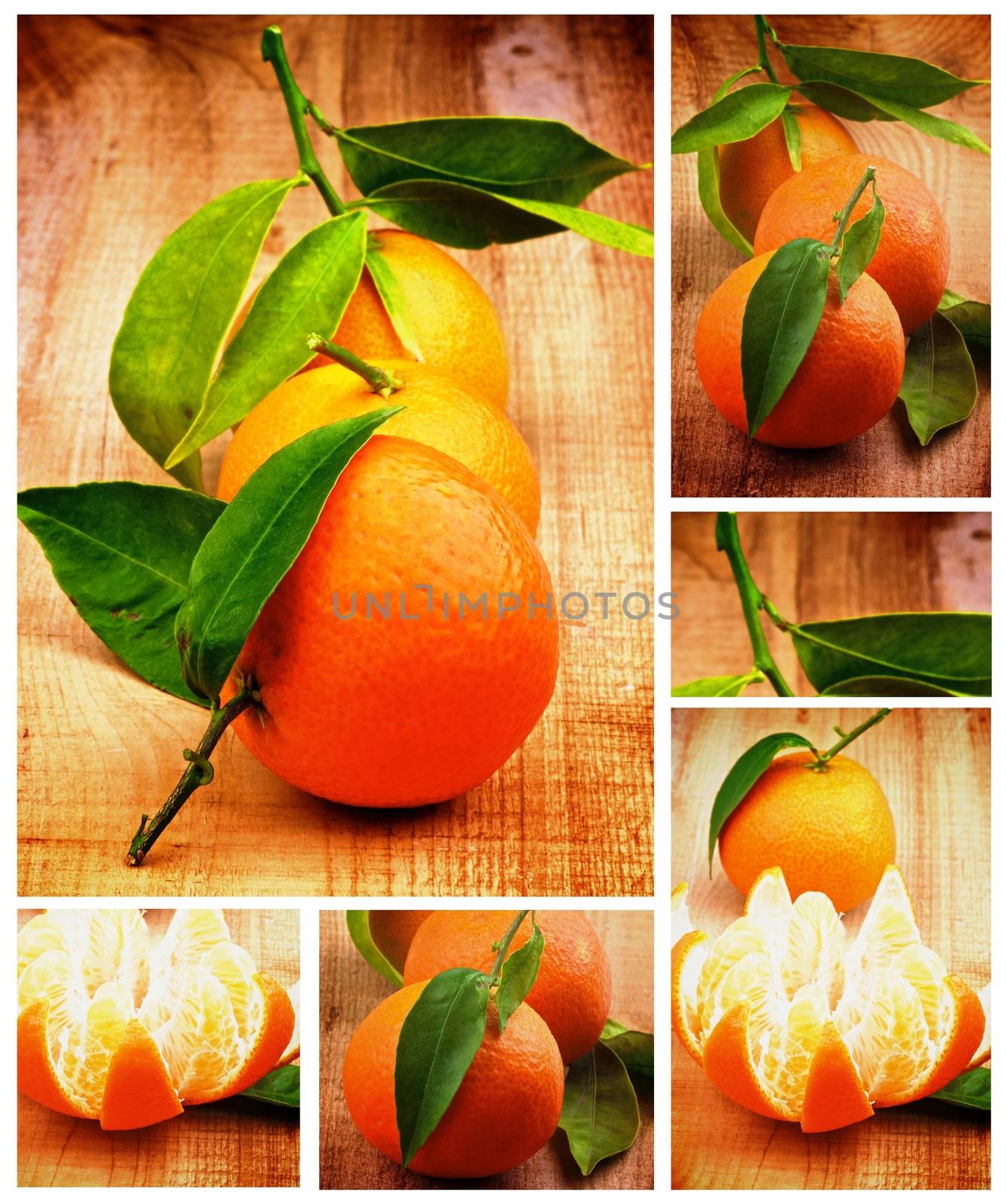 Collection of Tangerine by zhekos