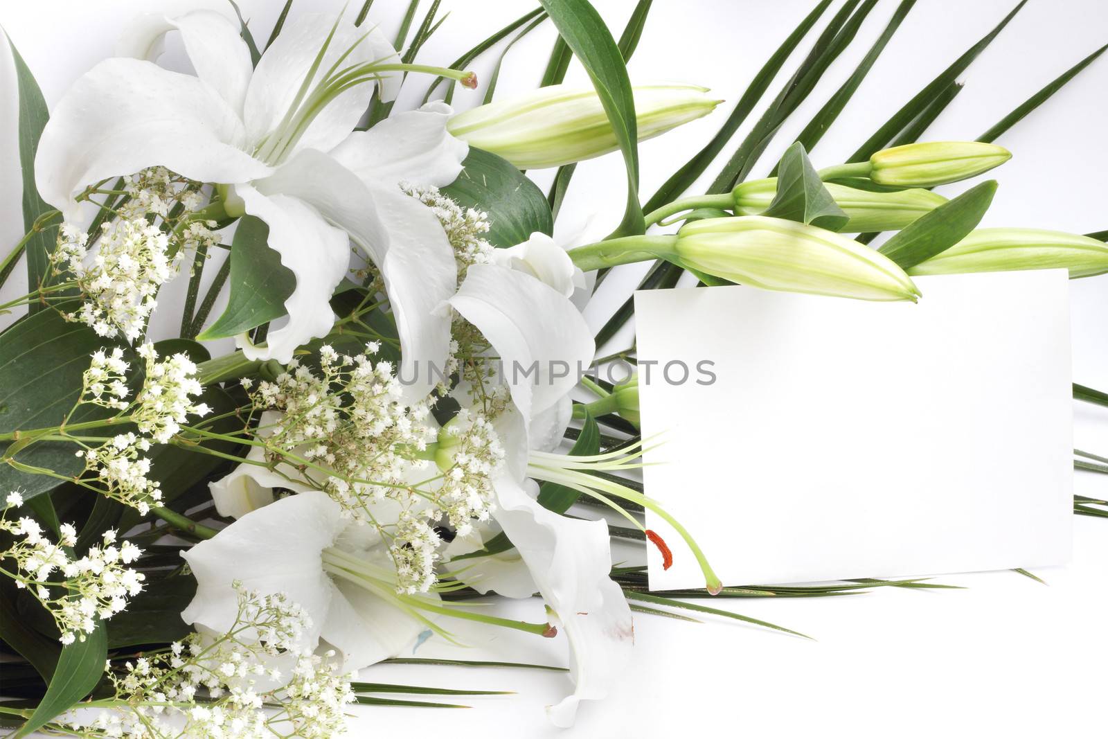 White lily flowers and post card by destillat