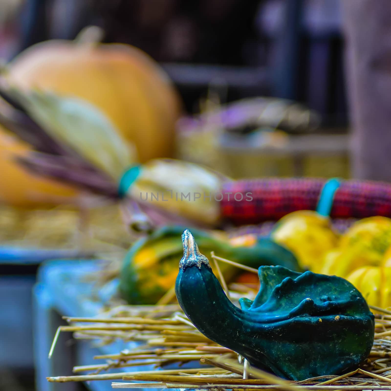 pumpkins decorations for the harvest holidays