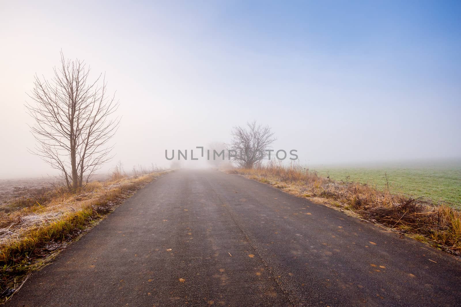 mystical rural foggy road going to the mist