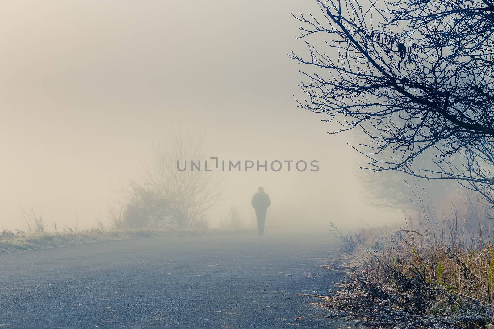 A person walk into the misty foggy road in a dramatic sunrise scene with abstract colors