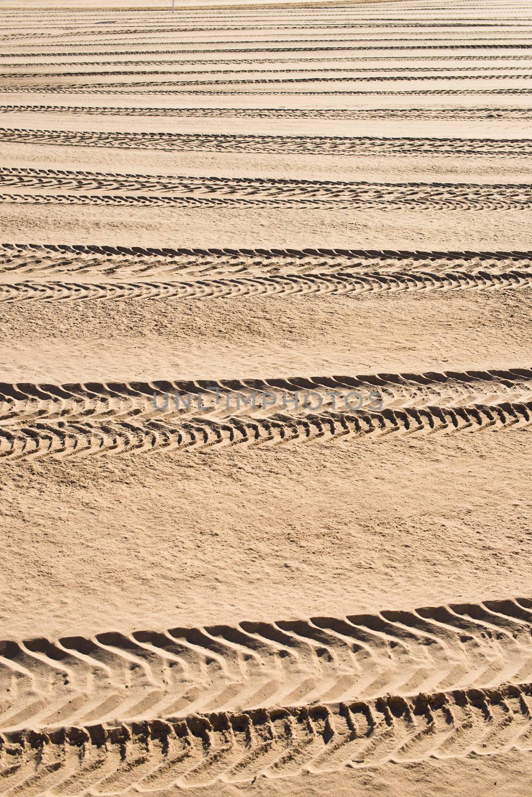 Offroad driving tyre tracks on soft soil