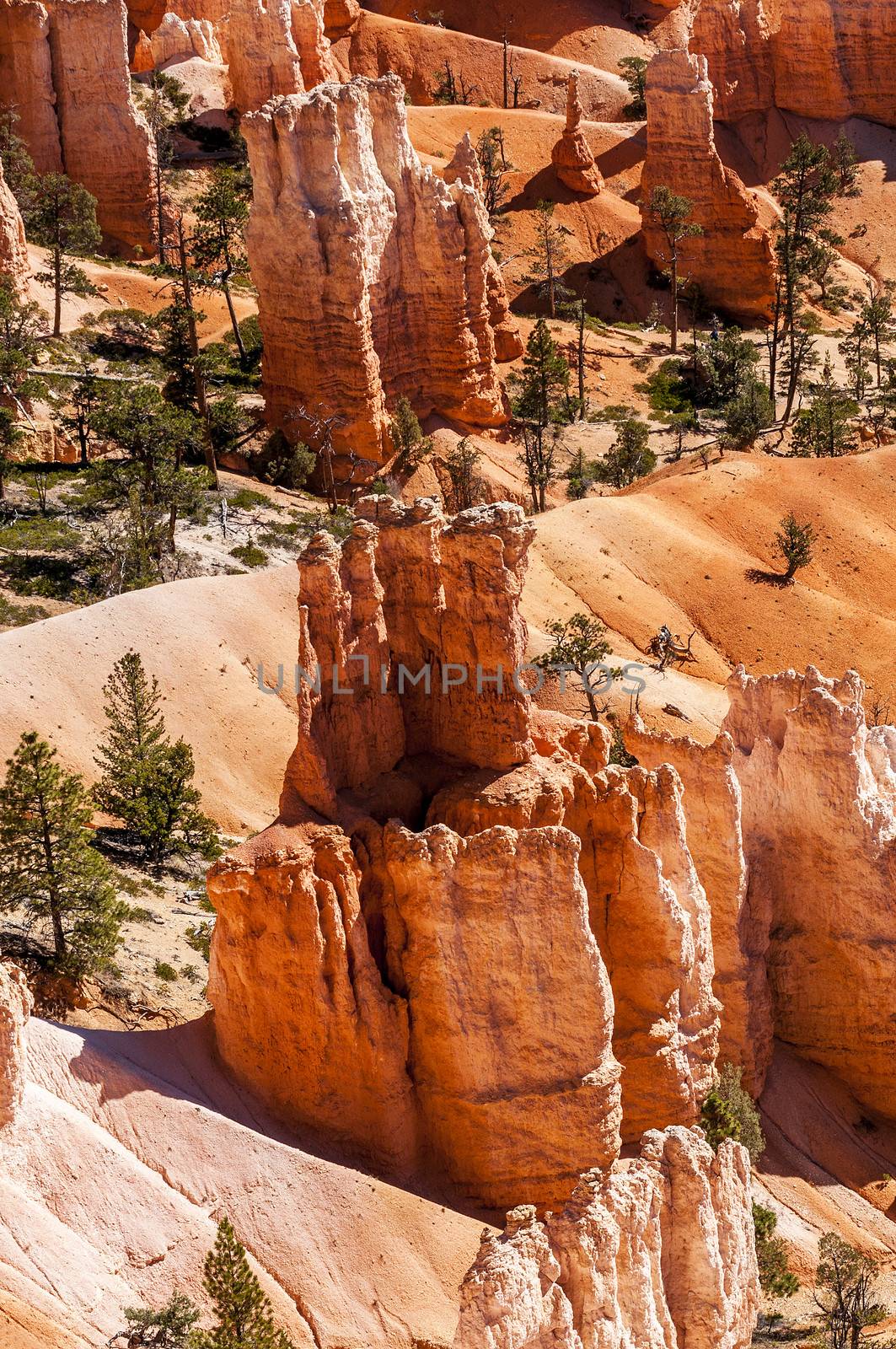 Bryce canyon by ventdusud