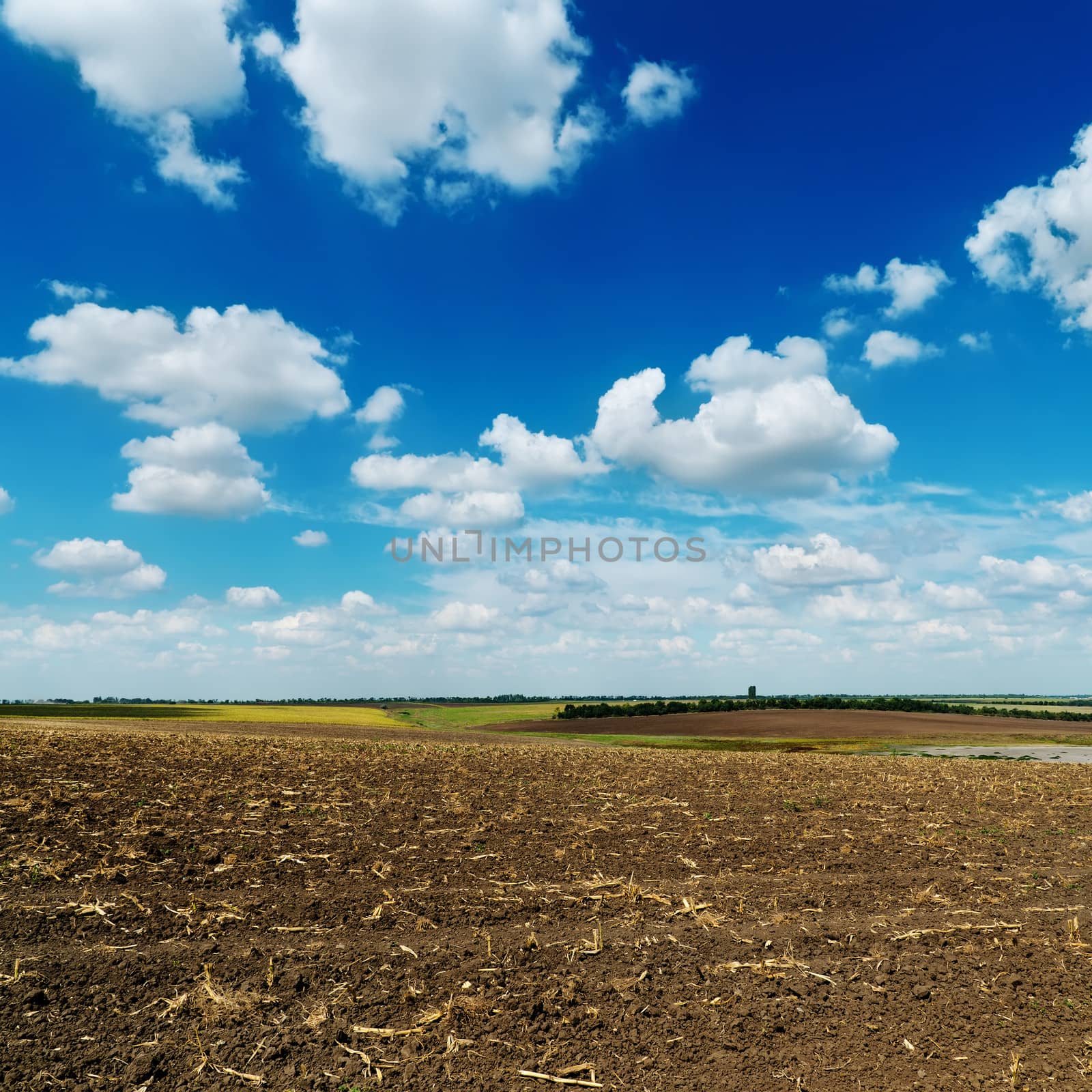 blue cloudy sky over plowed field