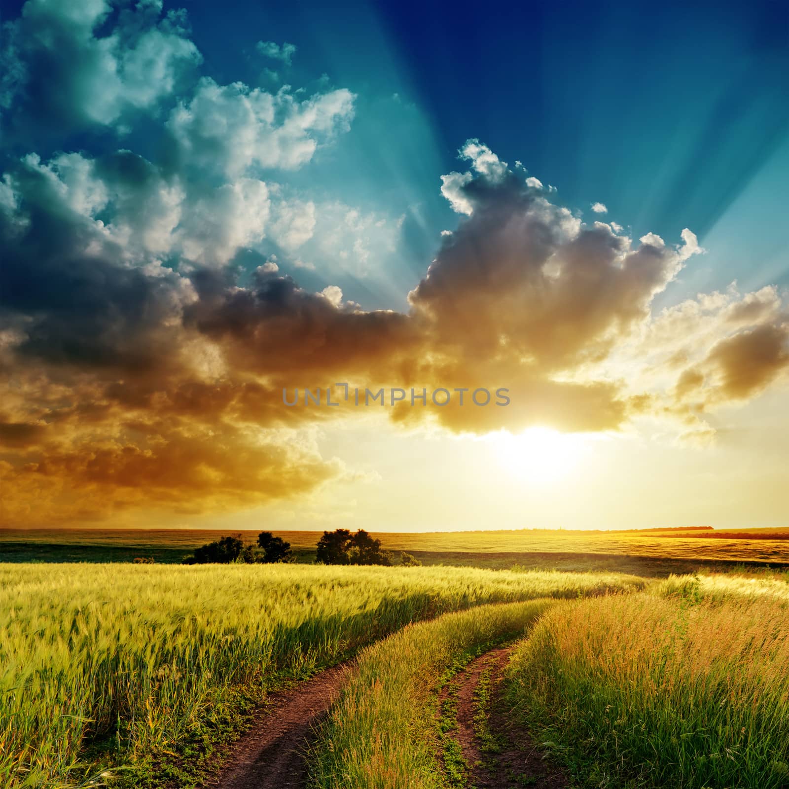 dramatic sunset over rural road in green field