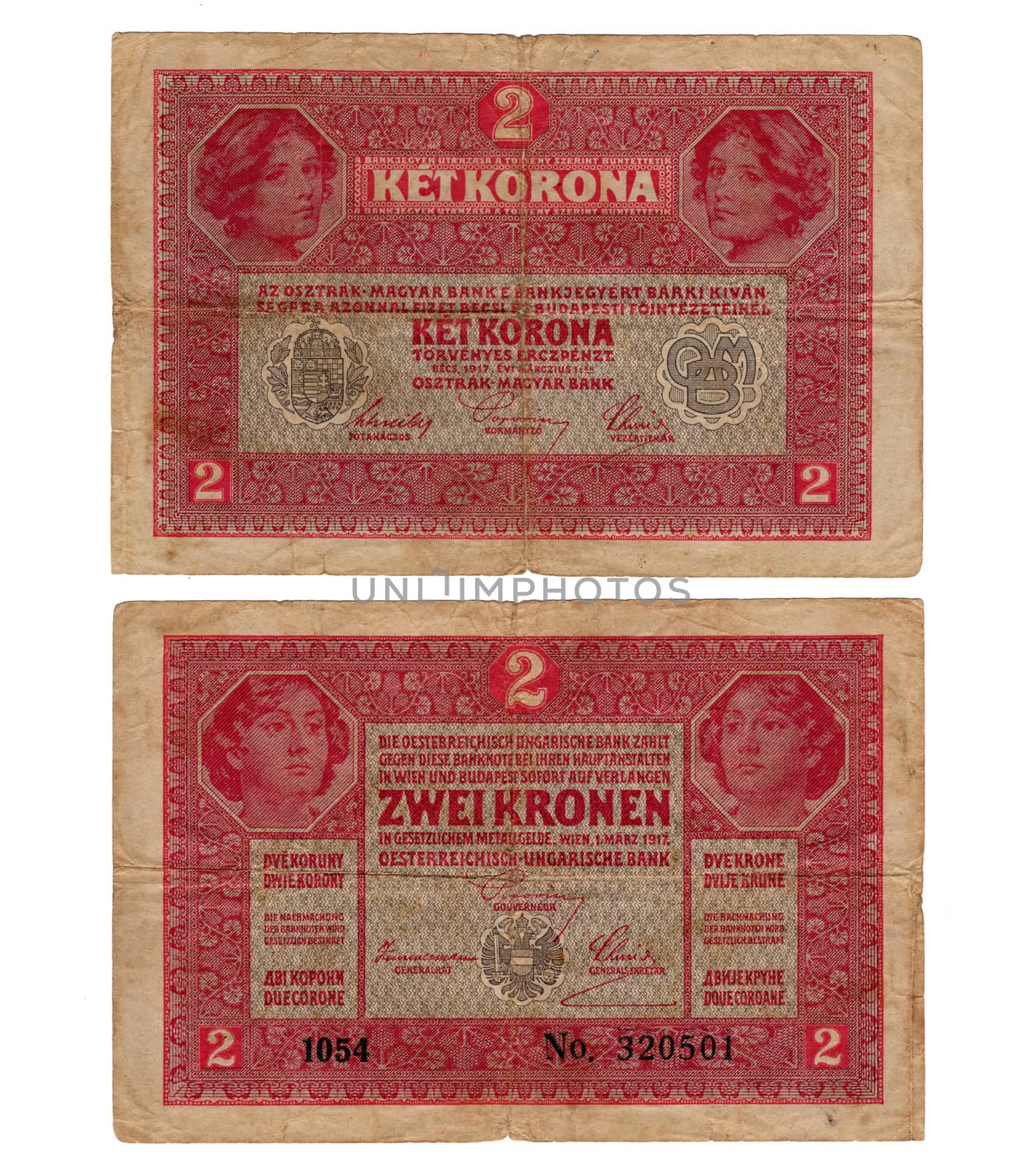 high resolution vintage hungarian banknote from 1917